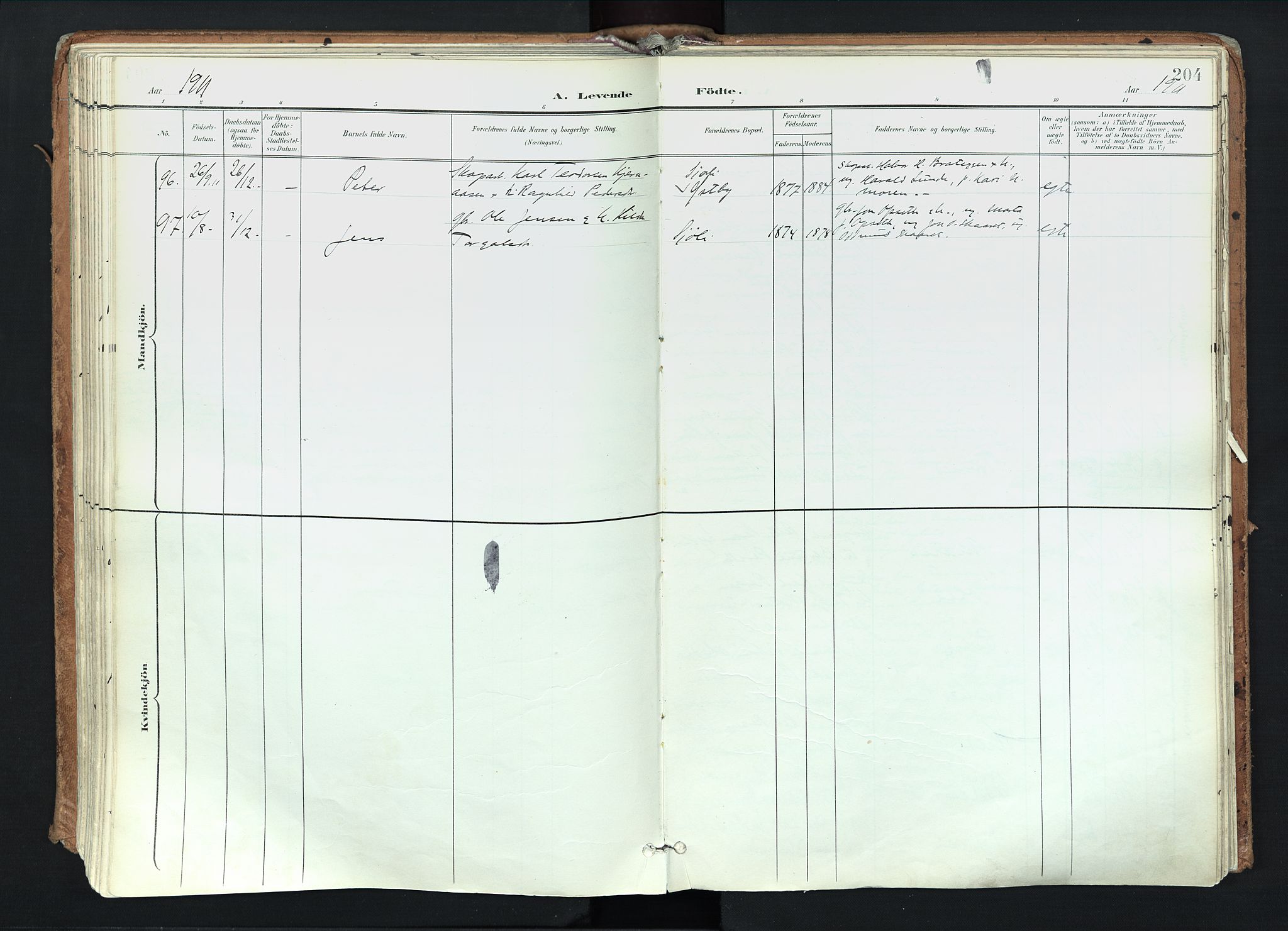 Trysil prestekontor, SAH/PREST-046/H/Ha/Haa/L0012: Parish register (official) no. 12, 1898-1917, p. 204