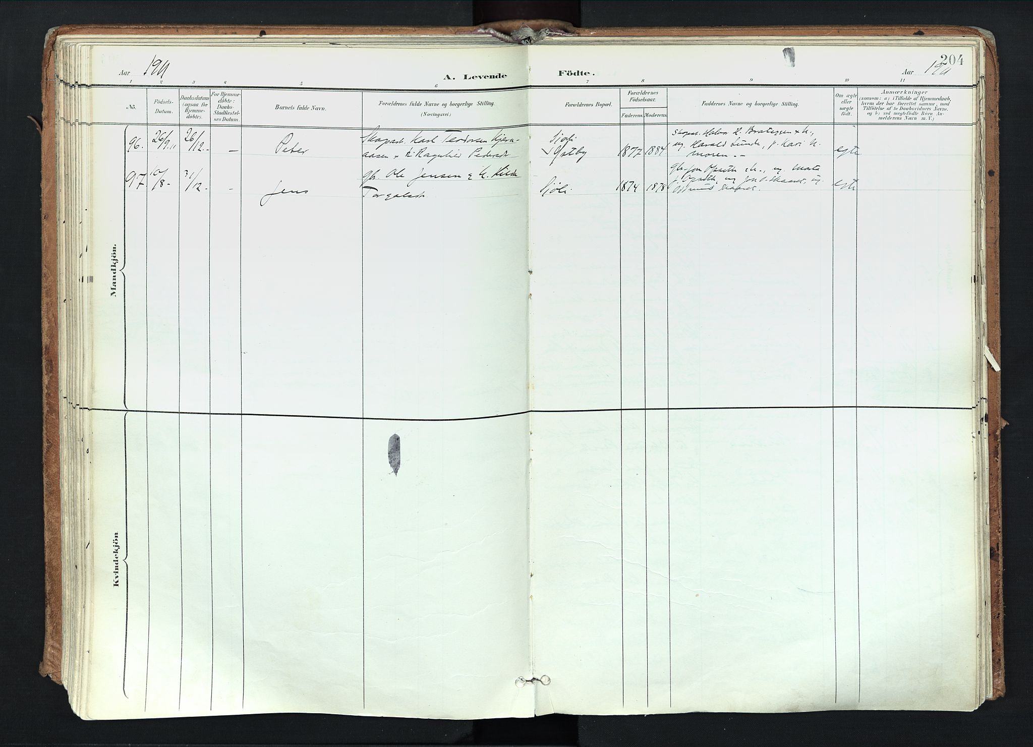 Trysil prestekontor, AV/SAH-PREST-046/H/Ha/Haa/L0012: Parish register (official) no. 12, 1898-1917, p. 204