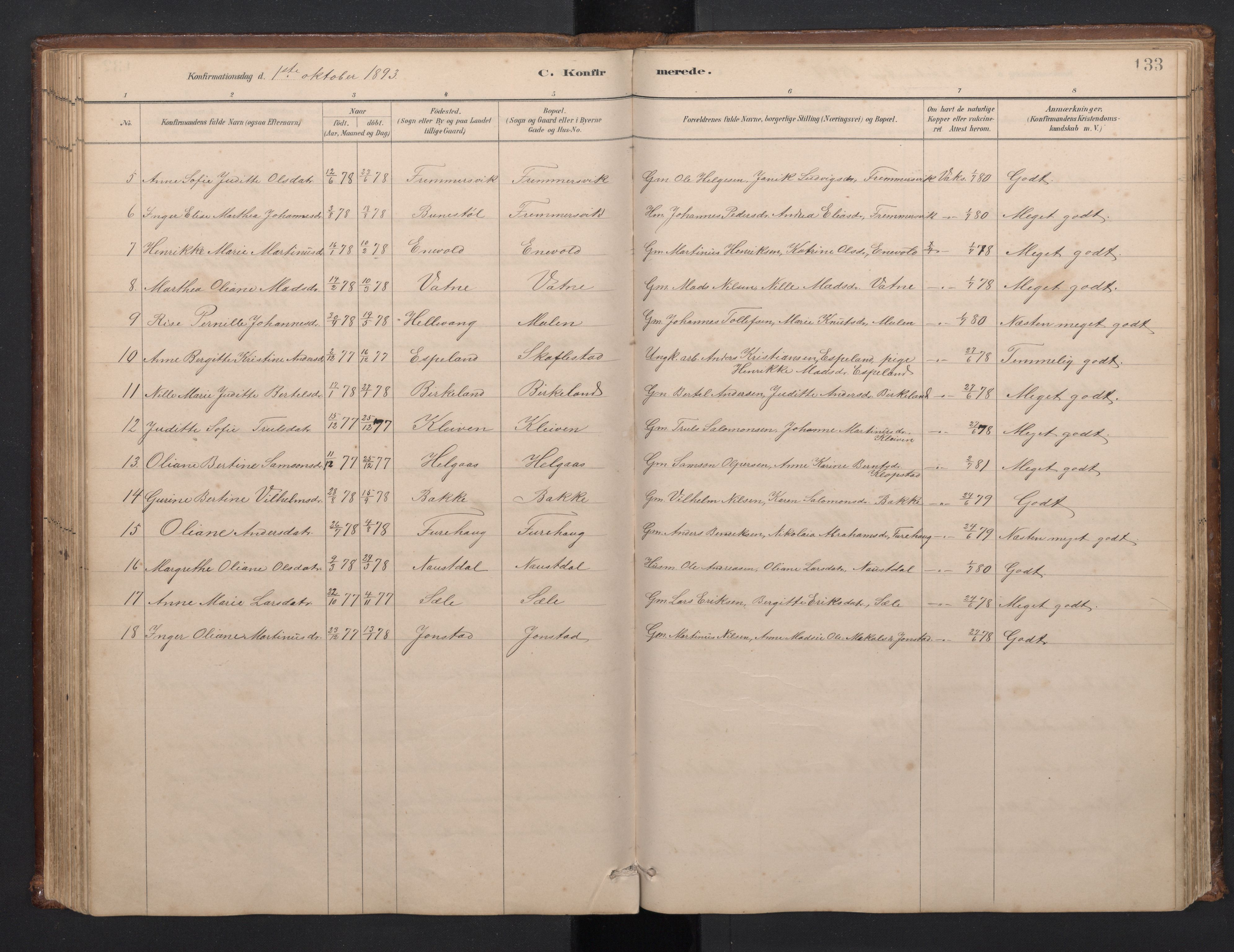 Førde sokneprestembete, SAB/A-79901/H/Hab/Habd/L0003: Parish register (copy) no. D 3, 1881-1897, p. 132b-133a