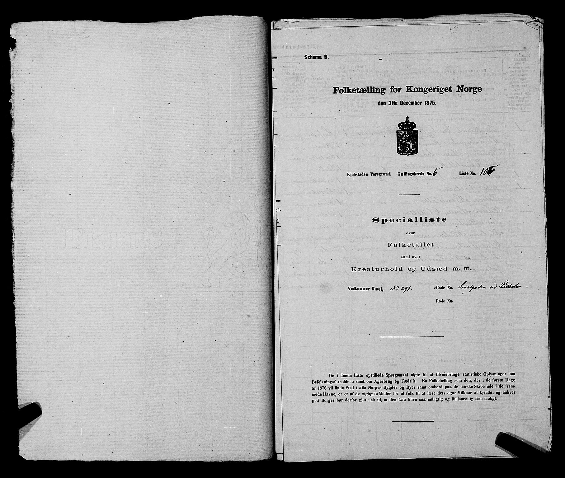 SAKO, 1875 census for 0805P Porsgrunn, 1875, p. 257