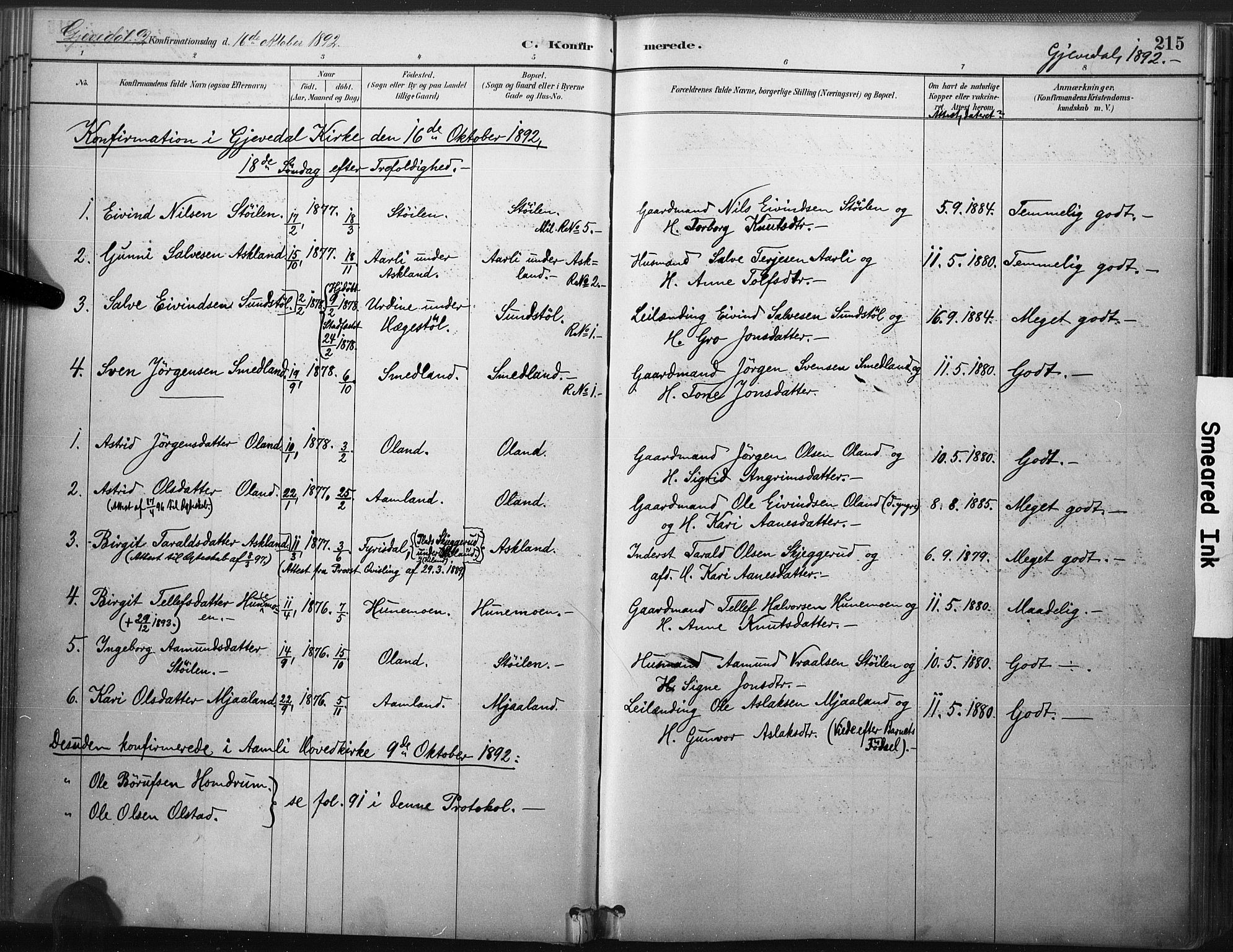 Åmli sokneprestkontor, SAK/1111-0050/F/Fa/Fac/L0010: Parish register (official) no. A 10 /2, 1885-1899, p. 215