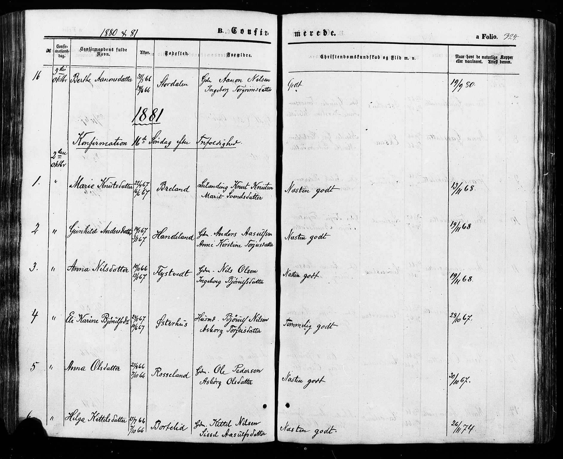 Åseral sokneprestkontor, SAK/1111-0051/F/Fa/L0002: Parish register (official) no. A 2, 1854-1884, p. 324
