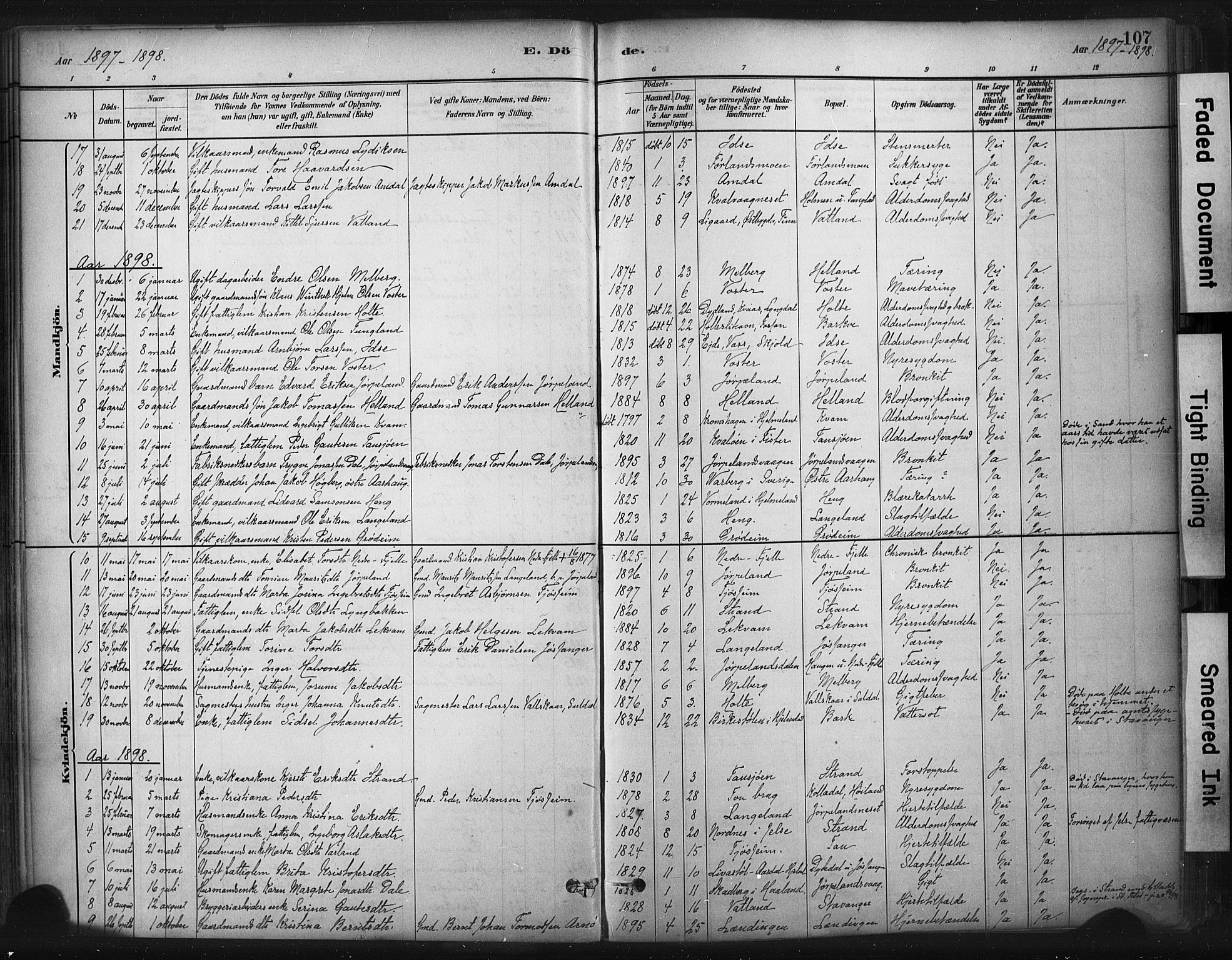 Strand sokneprestkontor, SAST/A-101828/H/Ha/Haa/L0010: Parish register (official) no. A 10, 1882-1929, p. 107