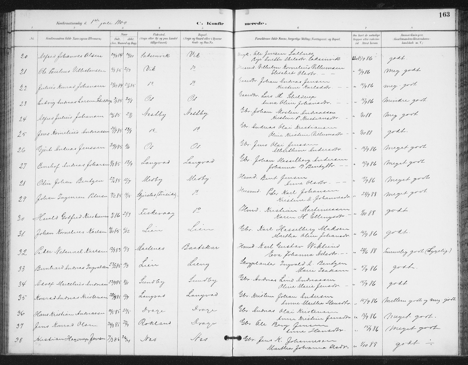 Ministerialprotokoller, klokkerbøker og fødselsregistre - Nordland, SAT/A-1459/847/L0682: Parish register (copy) no. 847C10, 1889-1907, p. 163