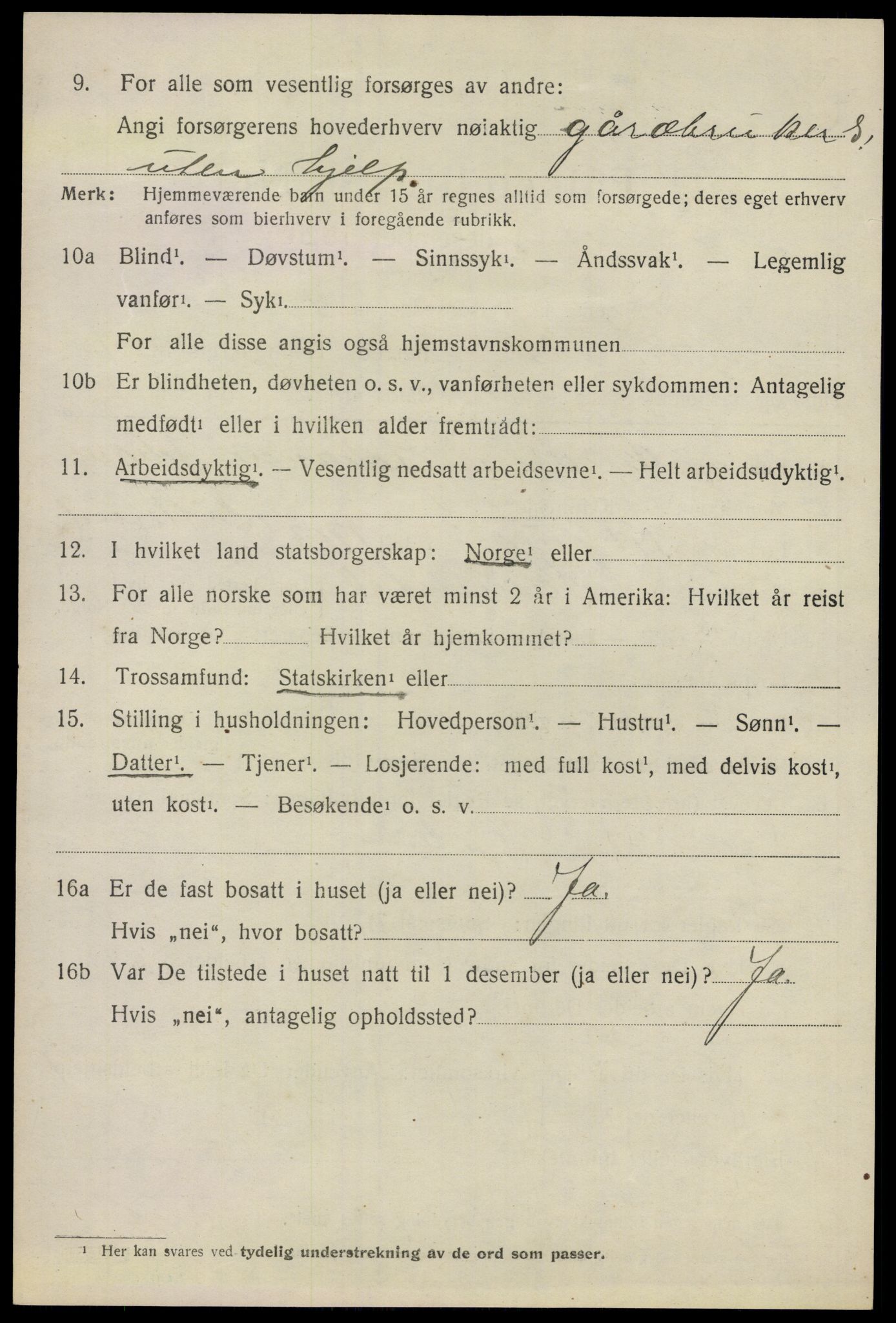 SAO, 1920 census for Nannestad, 1920, p. 1920