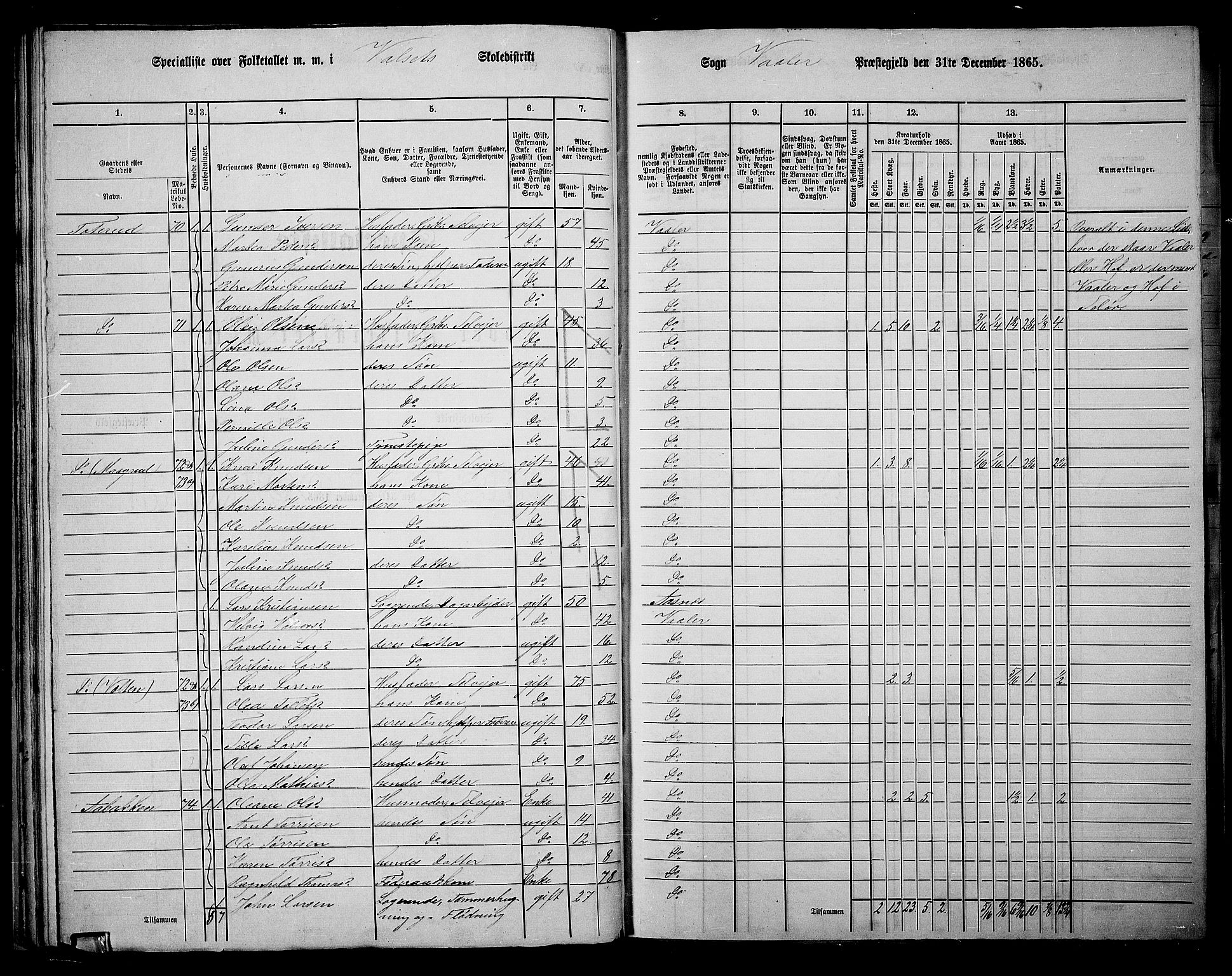 RA, 1865 census for Våler, 1865, p. 40