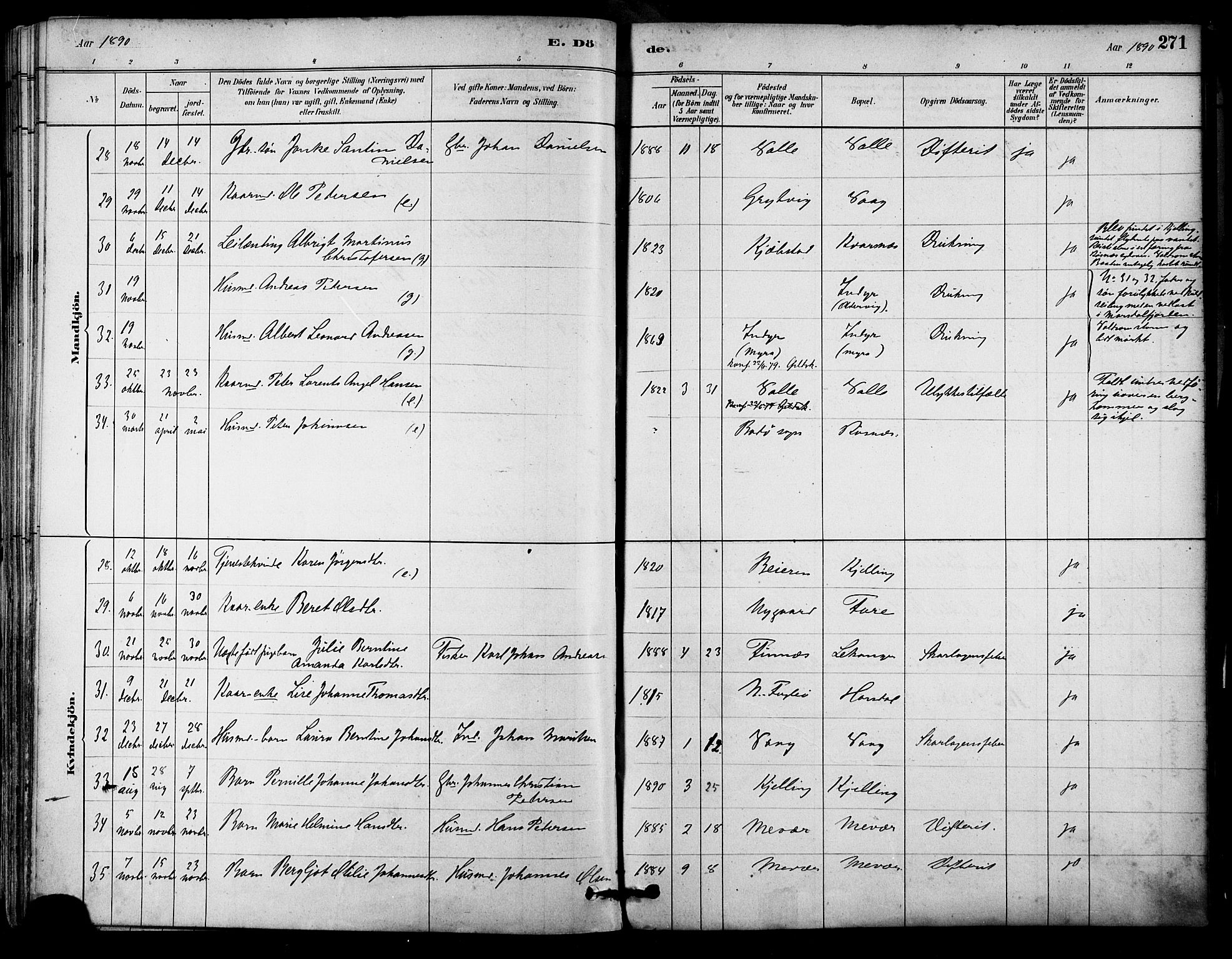 Ministerialprotokoller, klokkerbøker og fødselsregistre - Nordland, AV/SAT-A-1459/805/L0099: Parish register (official) no. 805A06, 1880-1891, p. 271