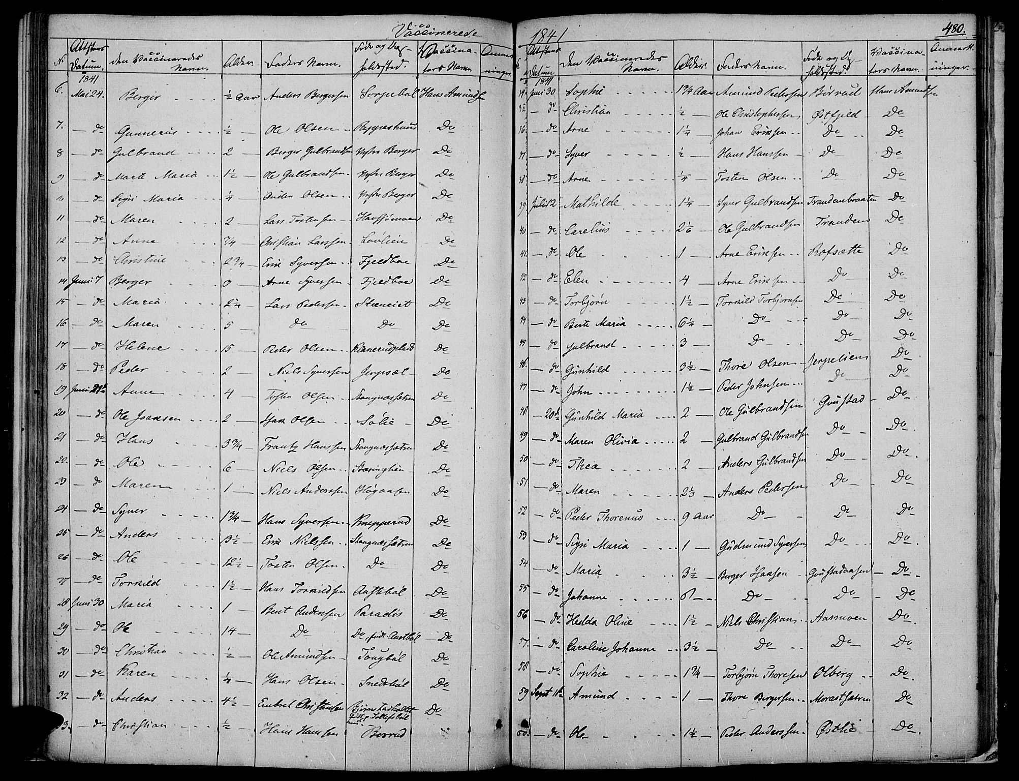 Vinger prestekontor, AV/SAH-PREST-024/H/Ha/Haa/L0008: Parish register (official) no. 8, 1839-1847, p. 480