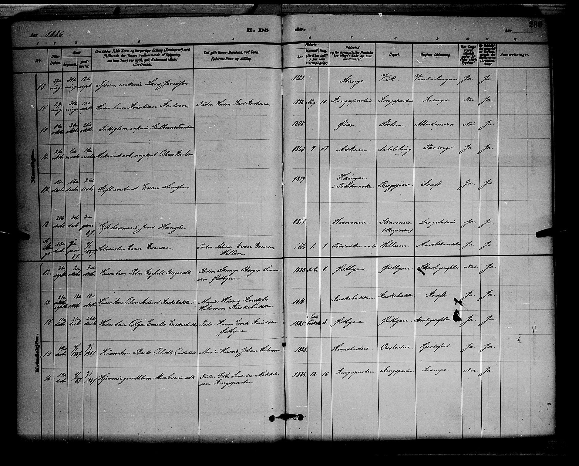 Stange prestekontor, AV/SAH-PREST-002/L/L0008: Parish register (copy) no. 8, 1882-1895, p. 230