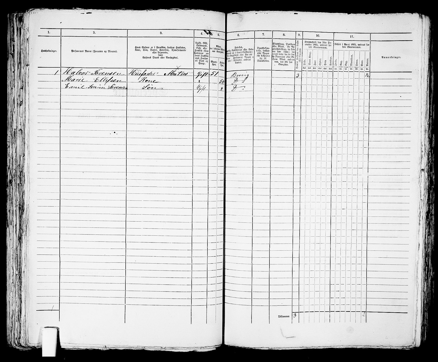 RA, 1865 census for Brevik, 1865, p. 496