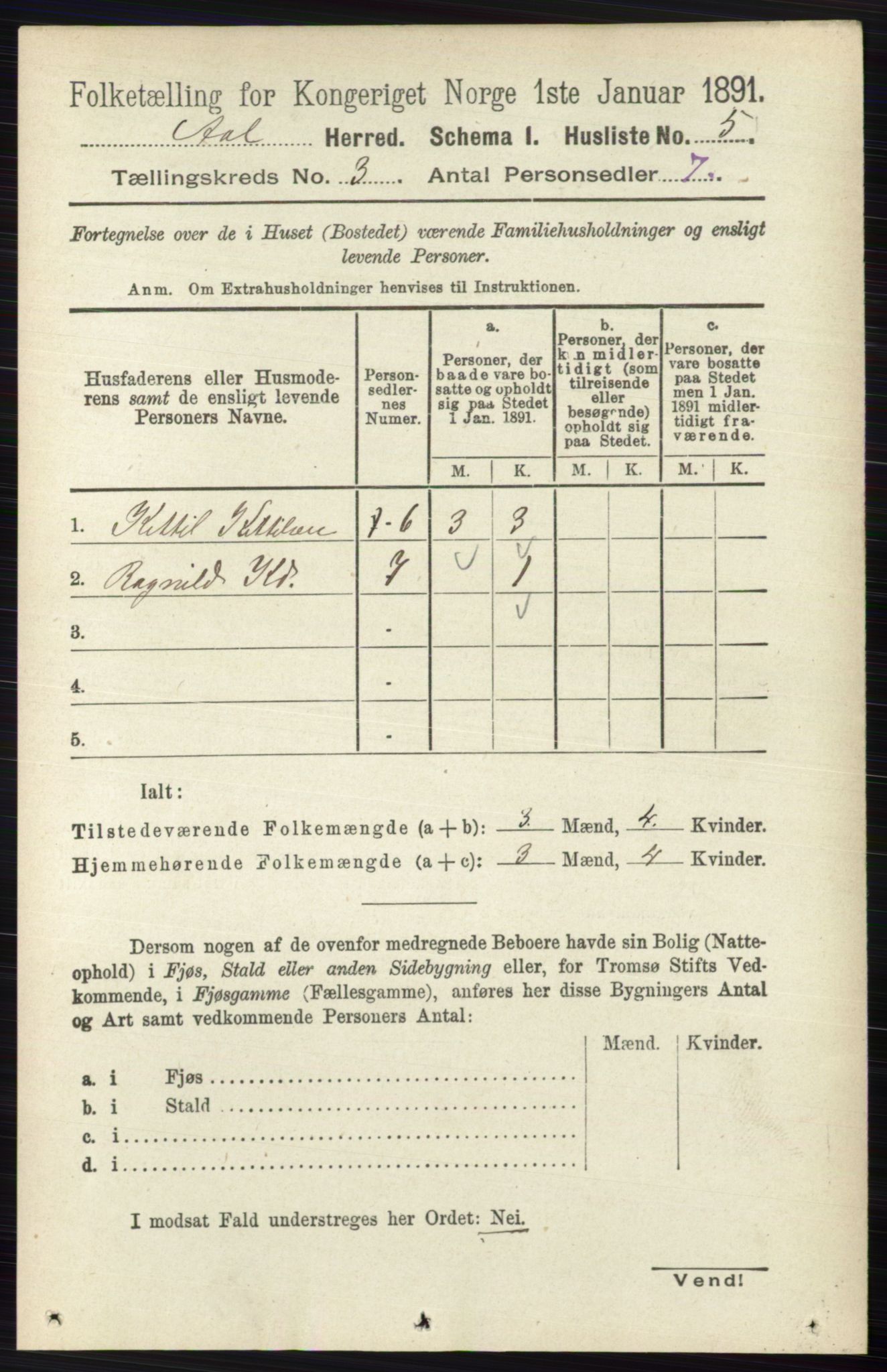 RA, 1891 census for 0619 Ål, 1891, p. 599