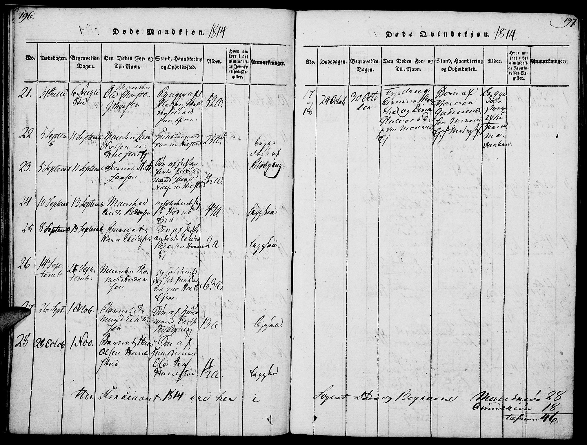 Nes prestekontor, Hedmark, AV/SAH-PREST-020/K/Ka/L0002: Parish register (official) no. 2, 1813-1827, p. 196-197