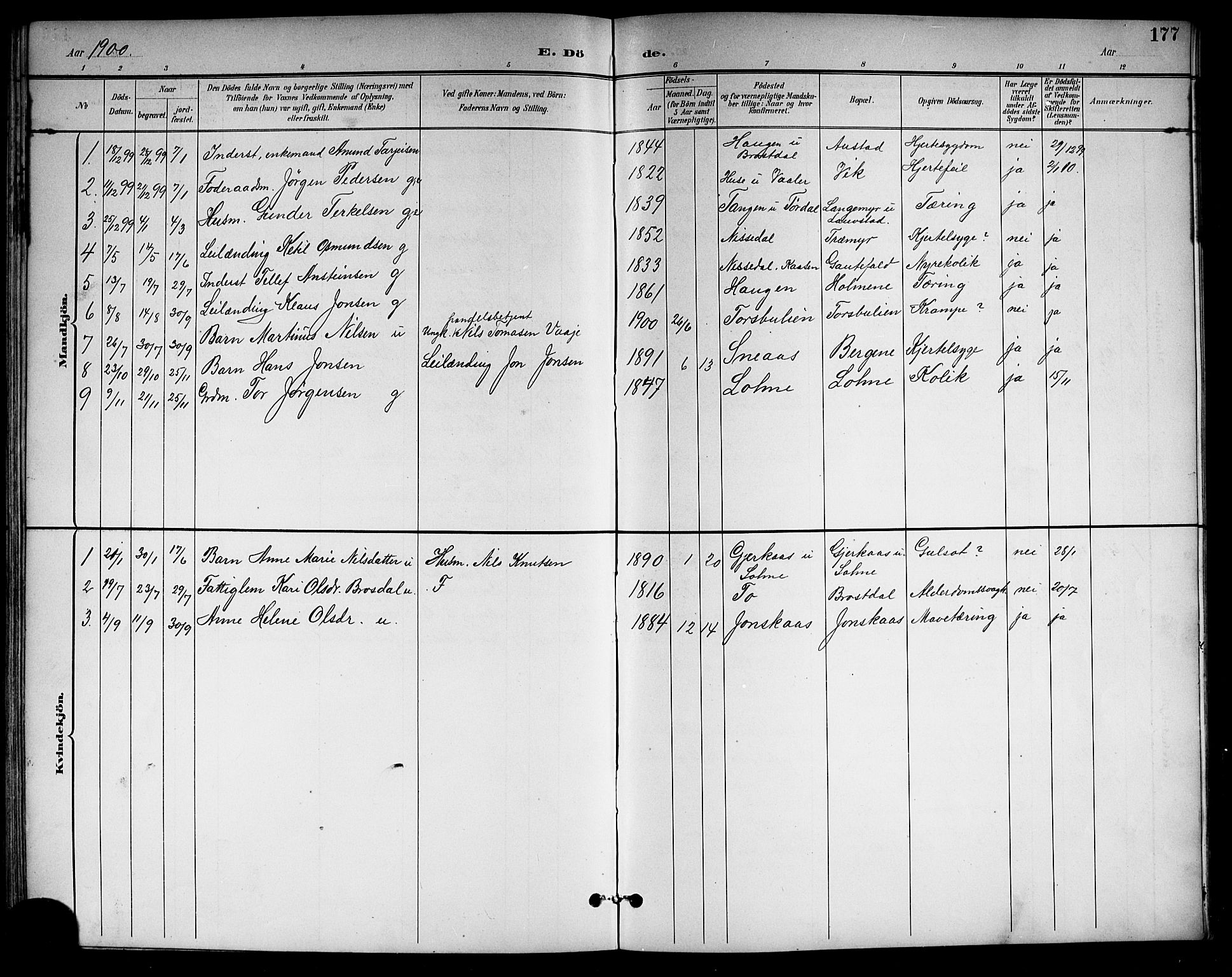 Drangedal kirkebøker, SAKO/A-258/G/Gb/L0002: Parish register (copy) no. II 2, 1895-1918, p. 177