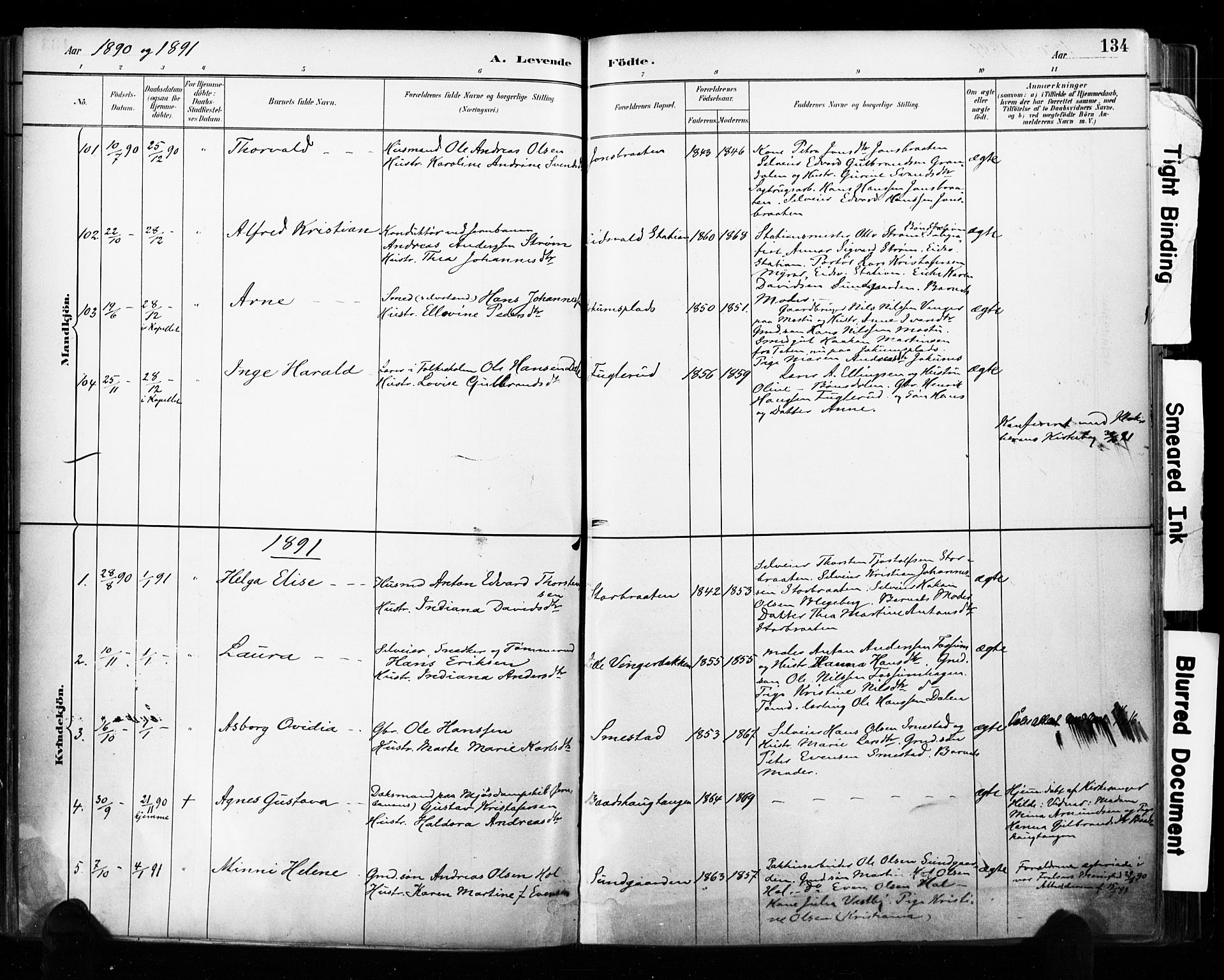 Eidsvoll prestekontor Kirkebøker, AV/SAO-A-10888/F/Fa/L0002: Parish register (official) no. I 2, 1882-1895, p. 134