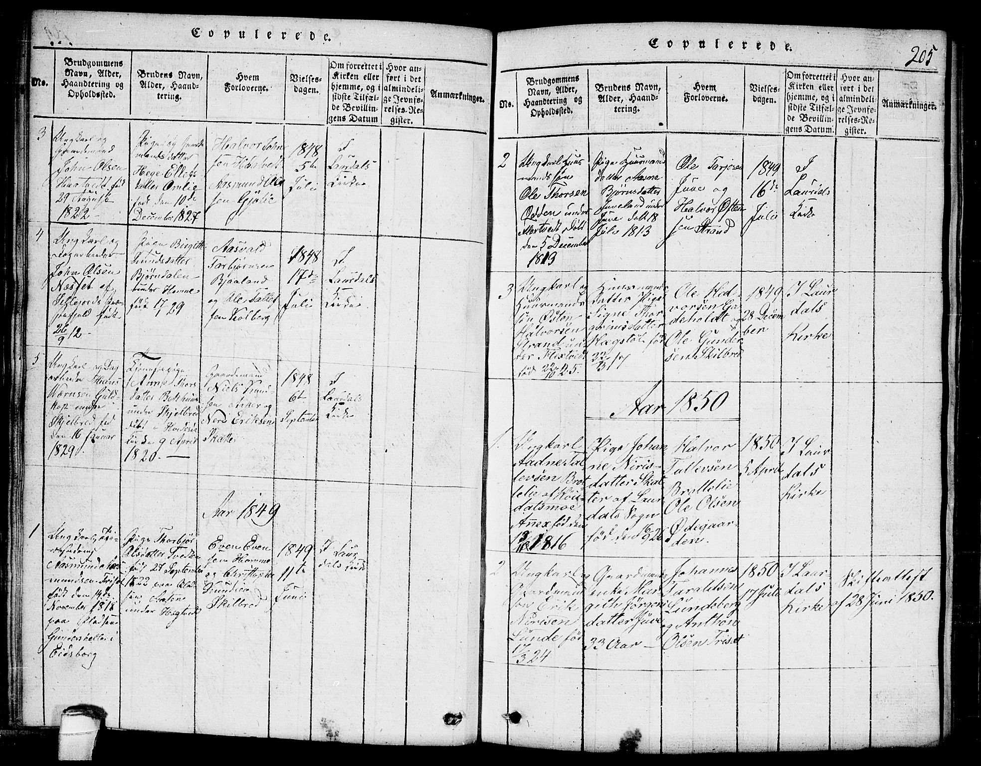 Lårdal kirkebøker, SAKO/A-284/G/Ga/L0001: Parish register (copy) no. I 1, 1815-1861, p. 205