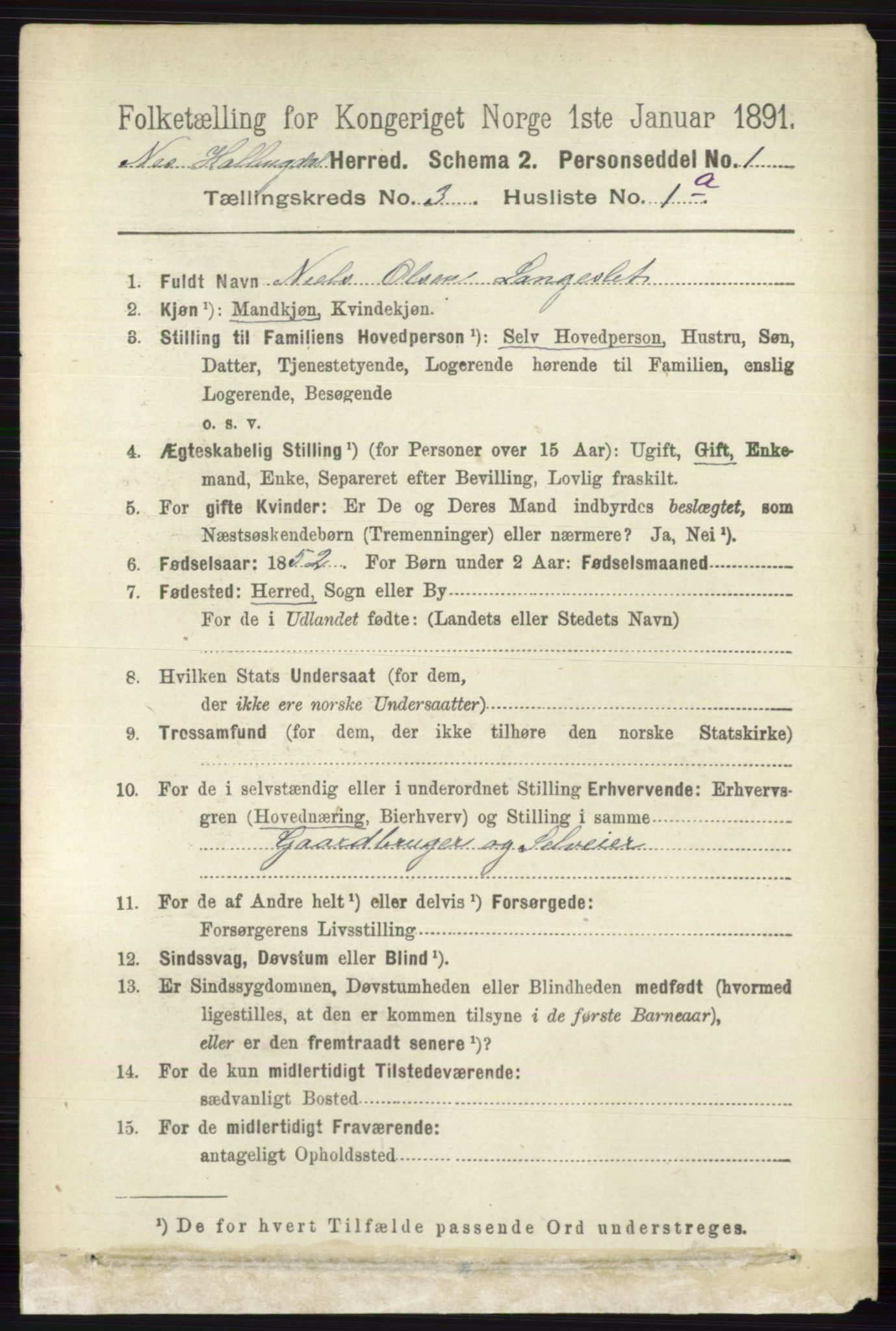 RA, 1891 census for 0616 Nes, 1891, p. 1507