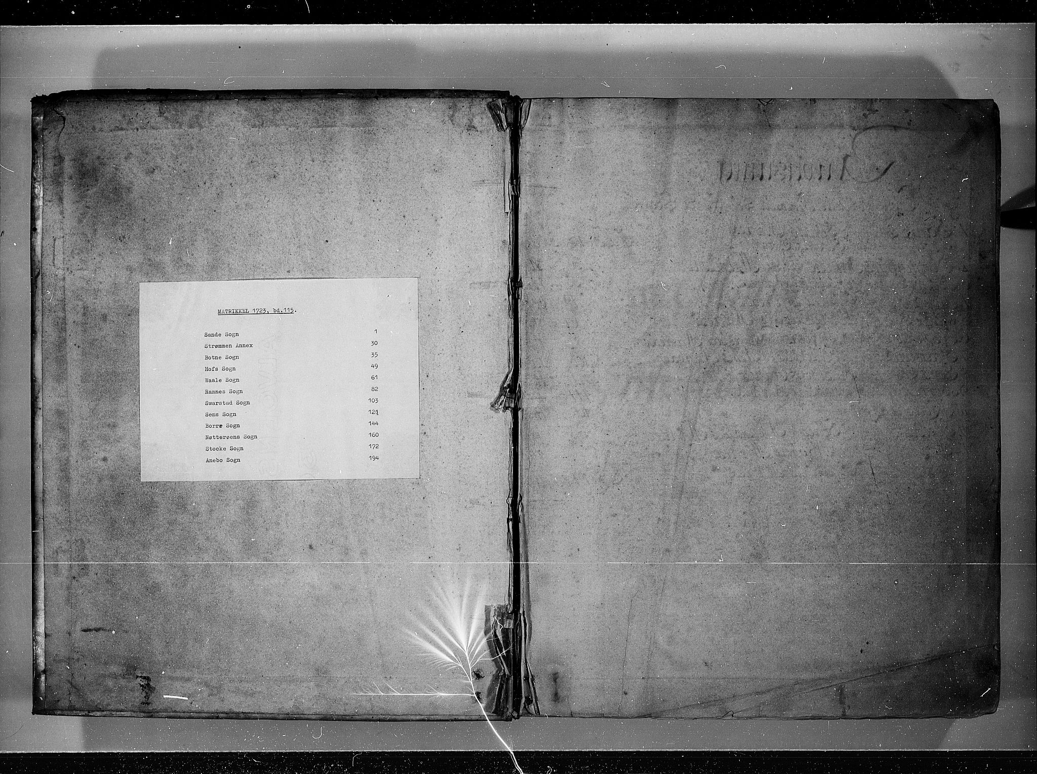 Rentekammeret inntil 1814, Realistisk ordnet avdeling, RA/EA-4070/N/Nb/Nbf/L0115: Jarlsberg grevskap eksaminasjonsprotokoll, 1723