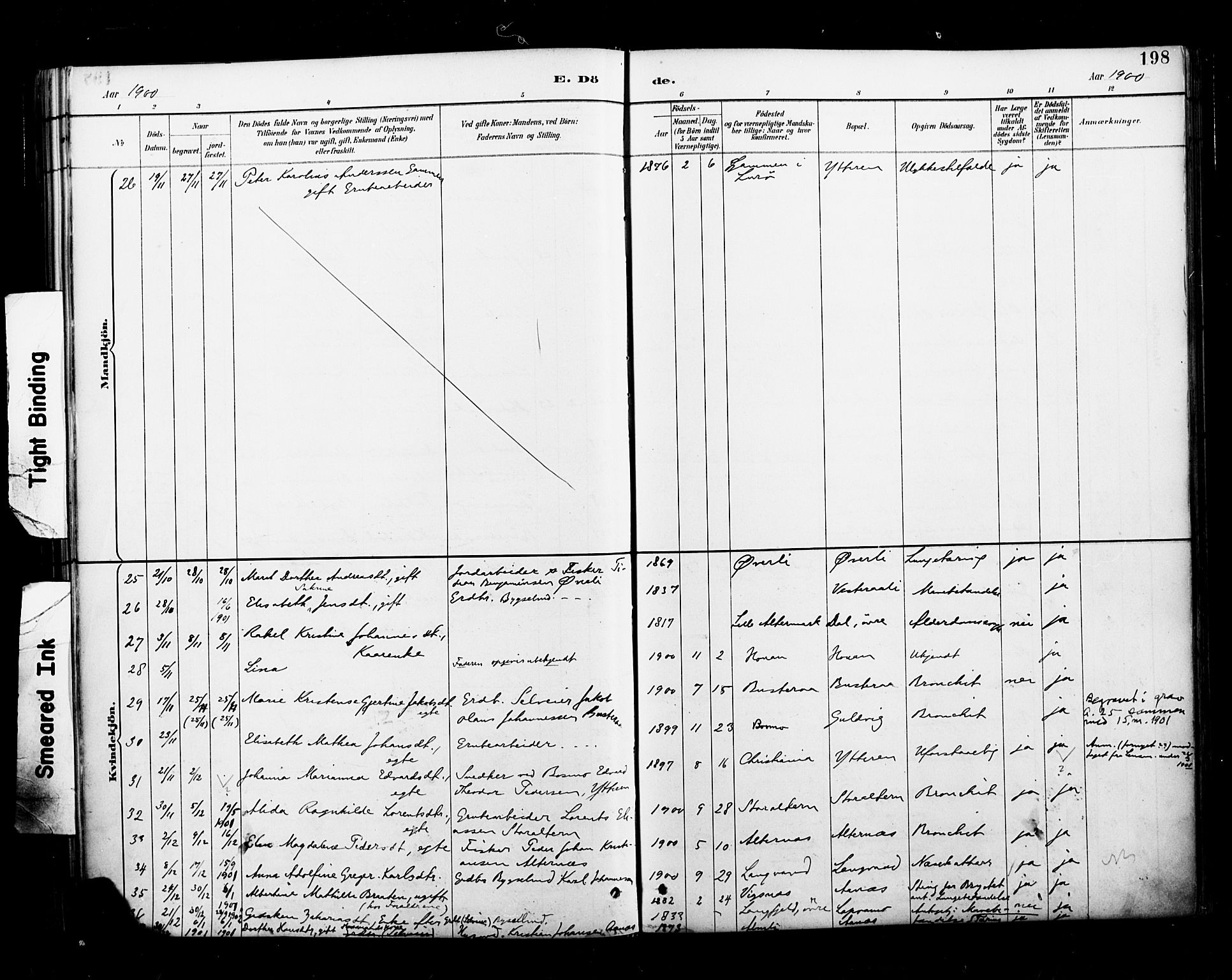 Ministerialprotokoller, klokkerbøker og fødselsregistre - Nordland, SAT/A-1459/827/L0401: Parish register (official) no. 827A13, 1887-1905, p. 198