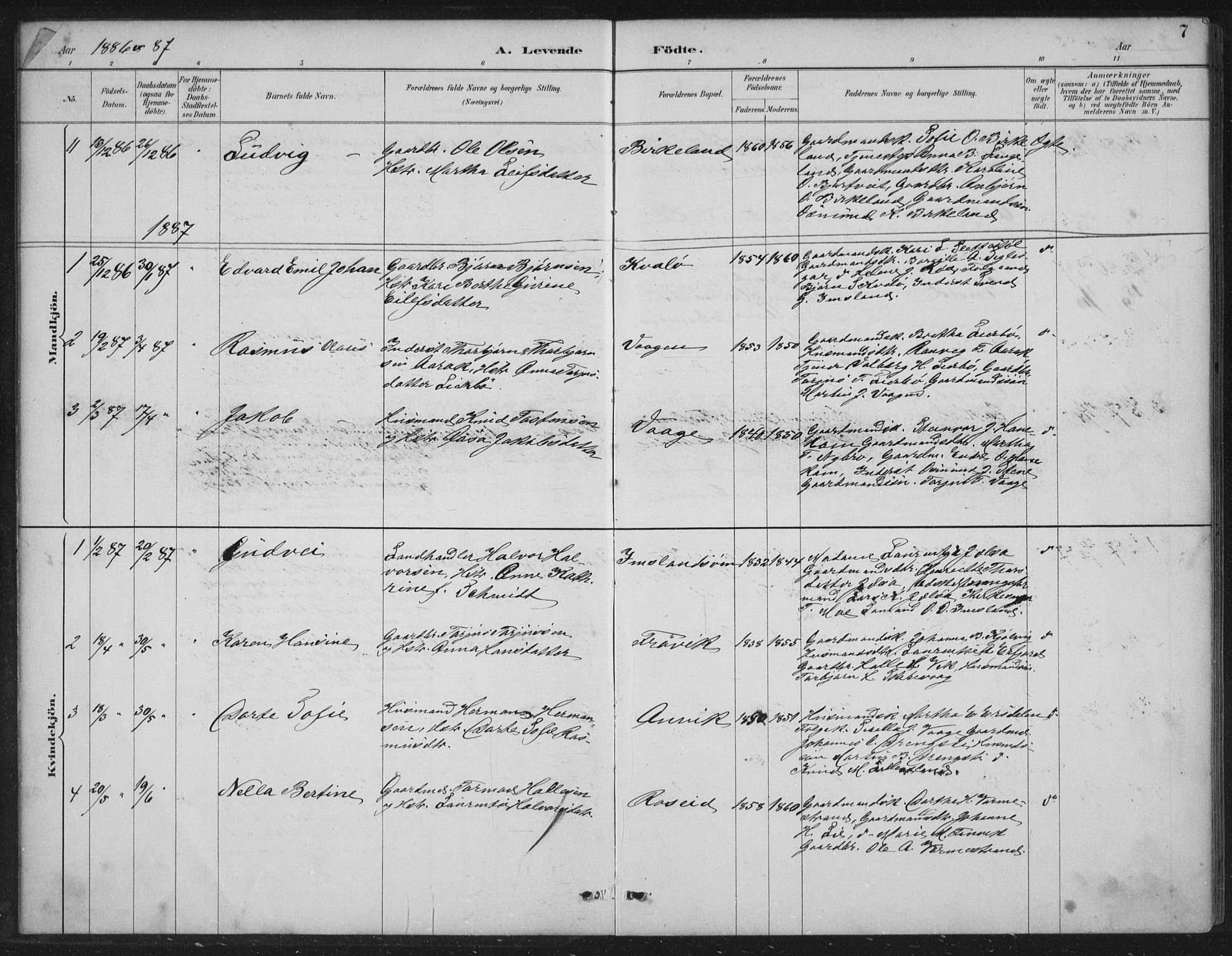 Vikedal sokneprestkontor, AV/SAST-A-101840/01/IV: Parish register (official) no. A 12, 1886-1929, p. 7