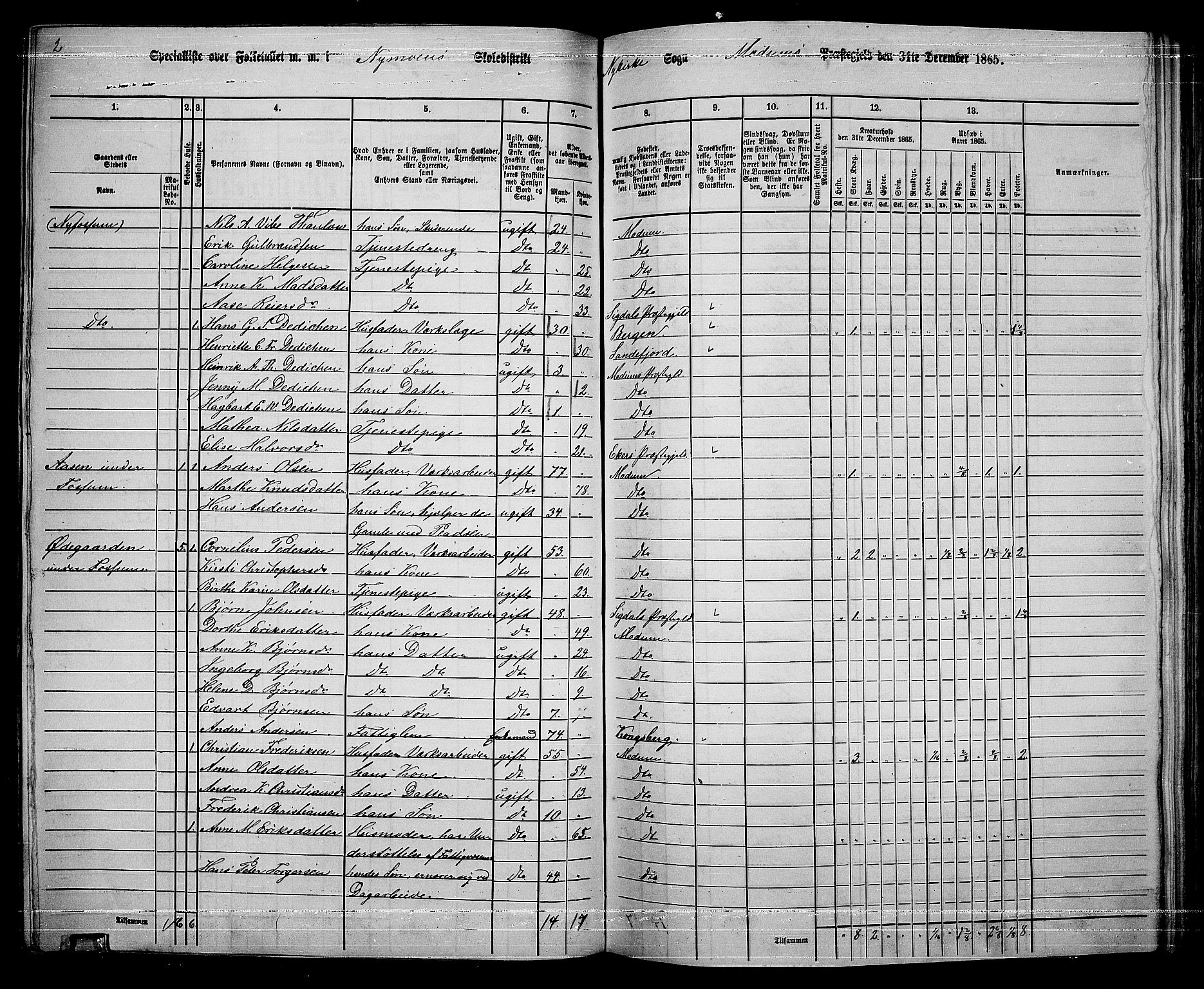 RA, 1865 census for Modum, 1865, p. 227