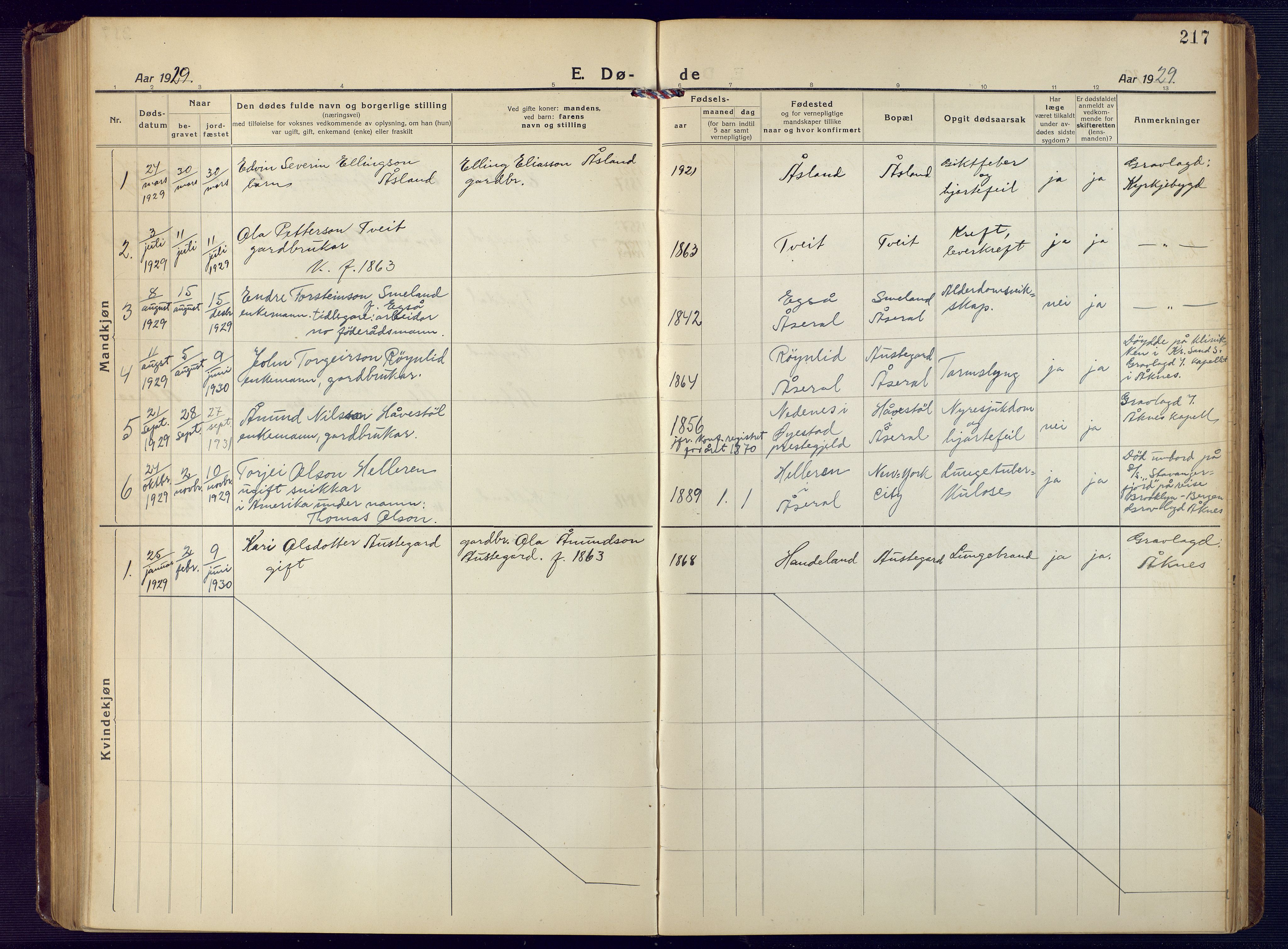 Åseral sokneprestkontor, SAK/1111-0051/F/Fb/L0004: Parish register (copy) no. B 4, 1920-1946, p. 217