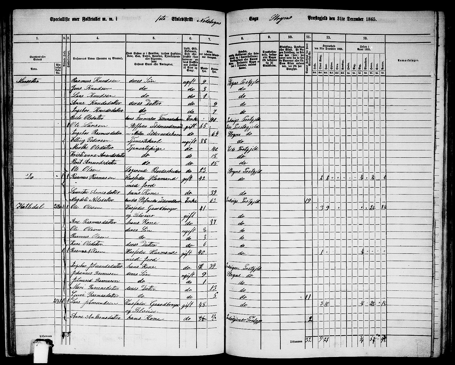 RA, 1865 census for Stryn, 1865, p. 52