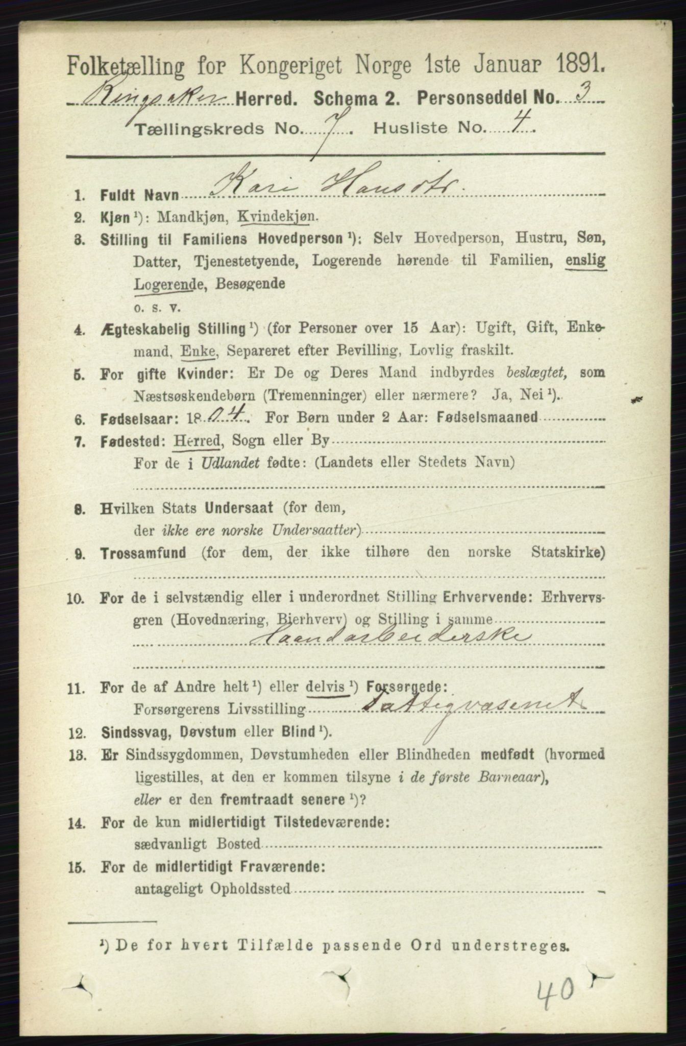 RA, 1891 census for 0412 Ringsaker, 1891, p. 3896