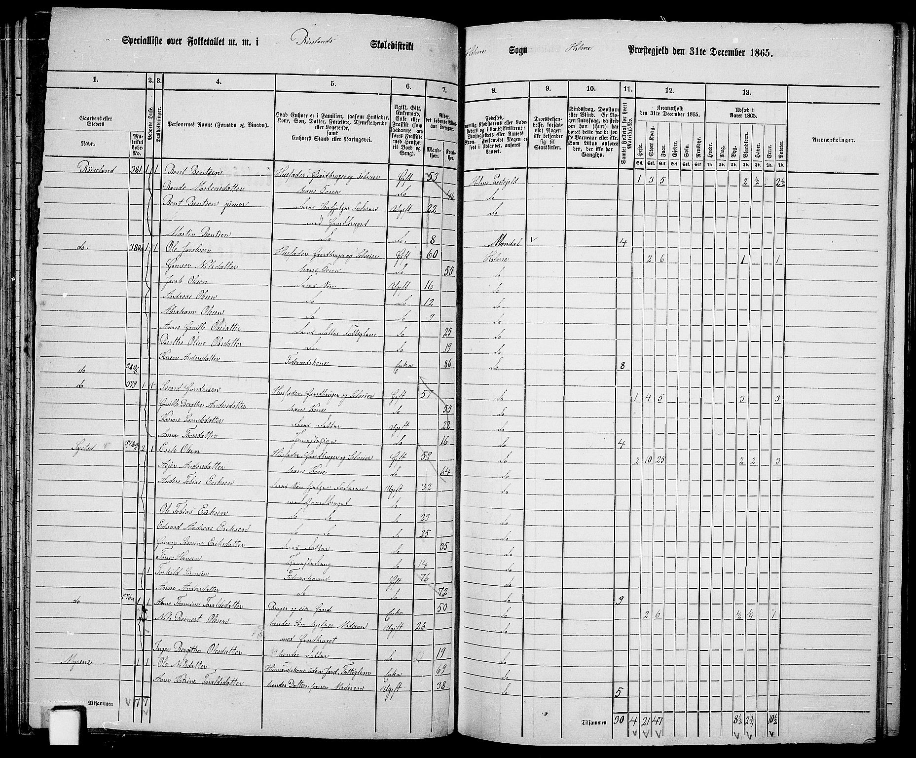 RA, 1865 census for Holum, 1865, p. 69