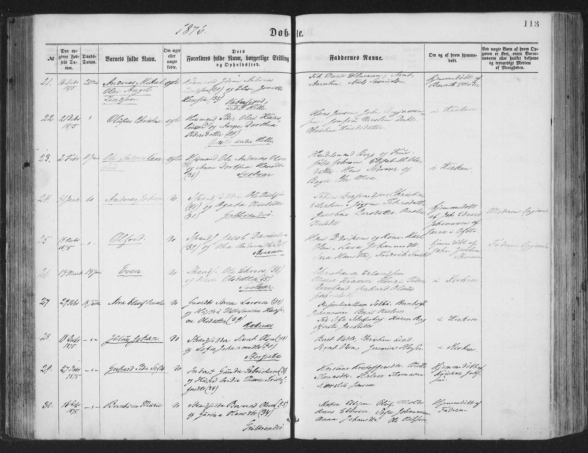 Ministerialprotokoller, klokkerbøker og fødselsregistre - Nordland, AV/SAT-A-1459/874/L1057: Parish register (official) no. 874A01, 1866-1877, p. 113