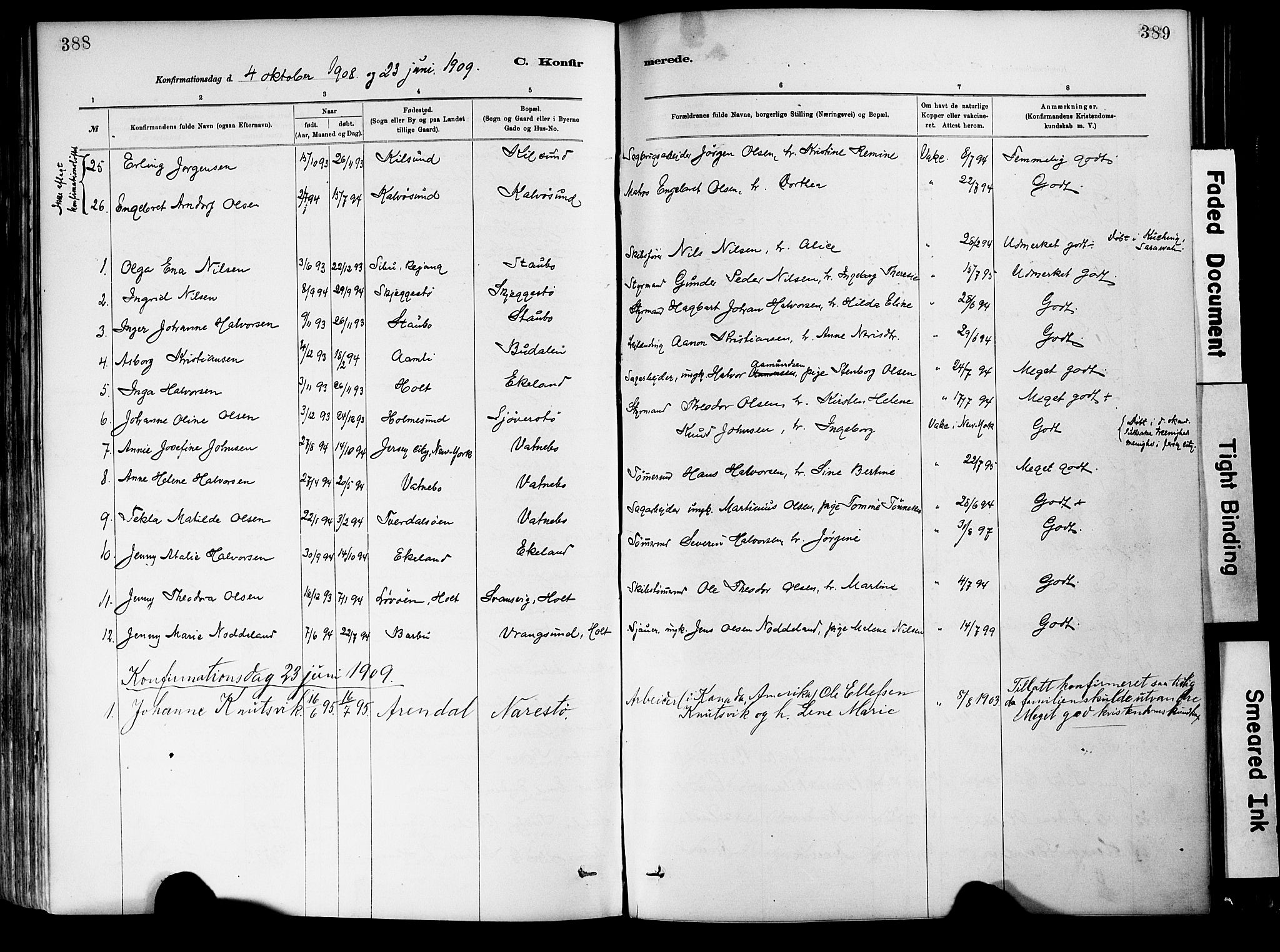 Dypvåg sokneprestkontor, AV/SAK-1111-0007/F/Fa/Fab/L0001: Parish register (official) no. A 1, 1885-1912, p. 388-389