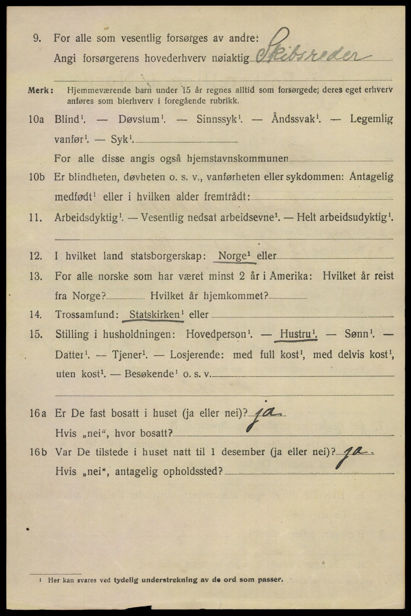 SAKO, 1920 census for Porsgrunn, 1920, p. 18916