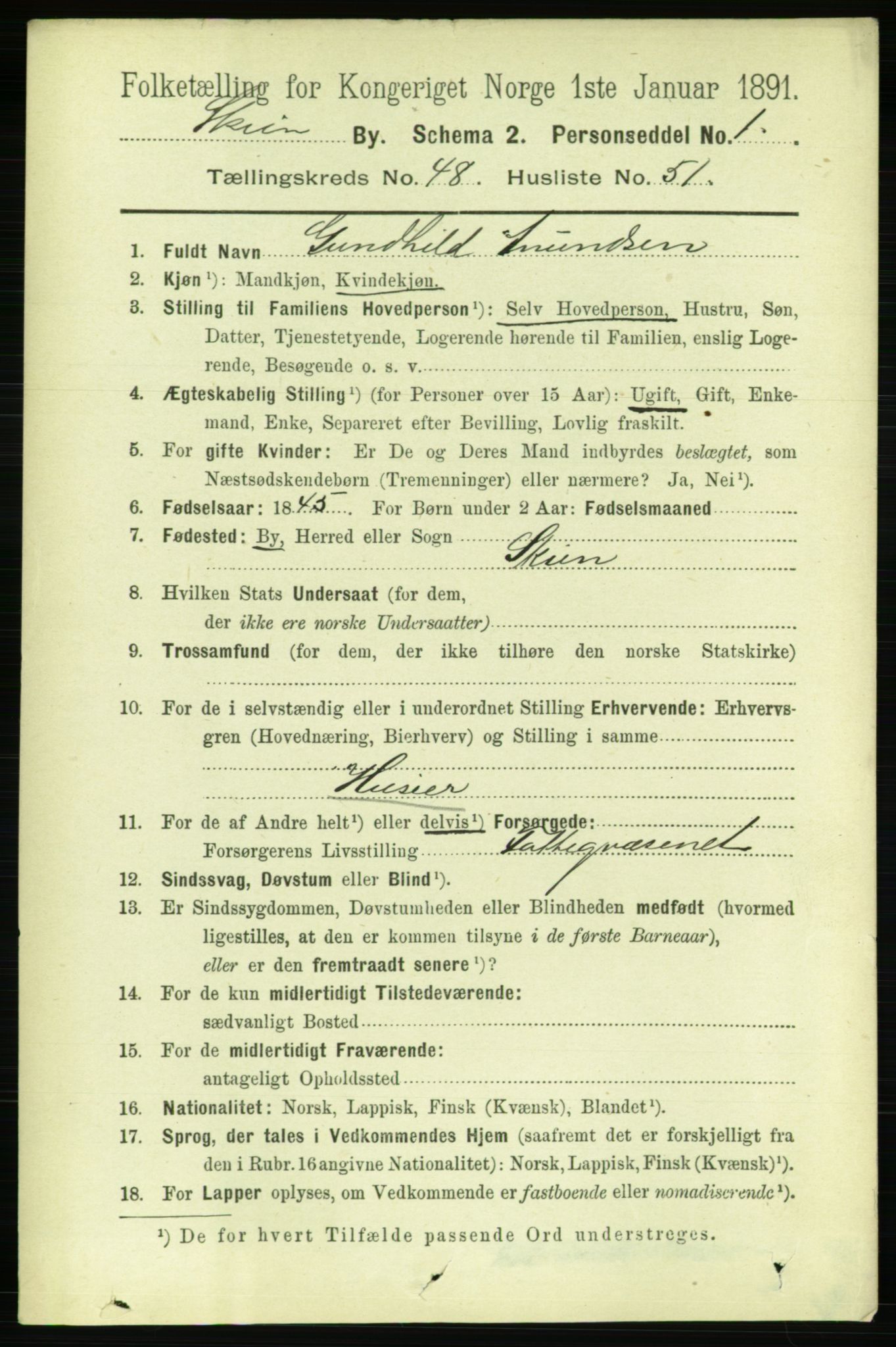 RA, 1891 census for 0806 Skien, 1891, p. 10289