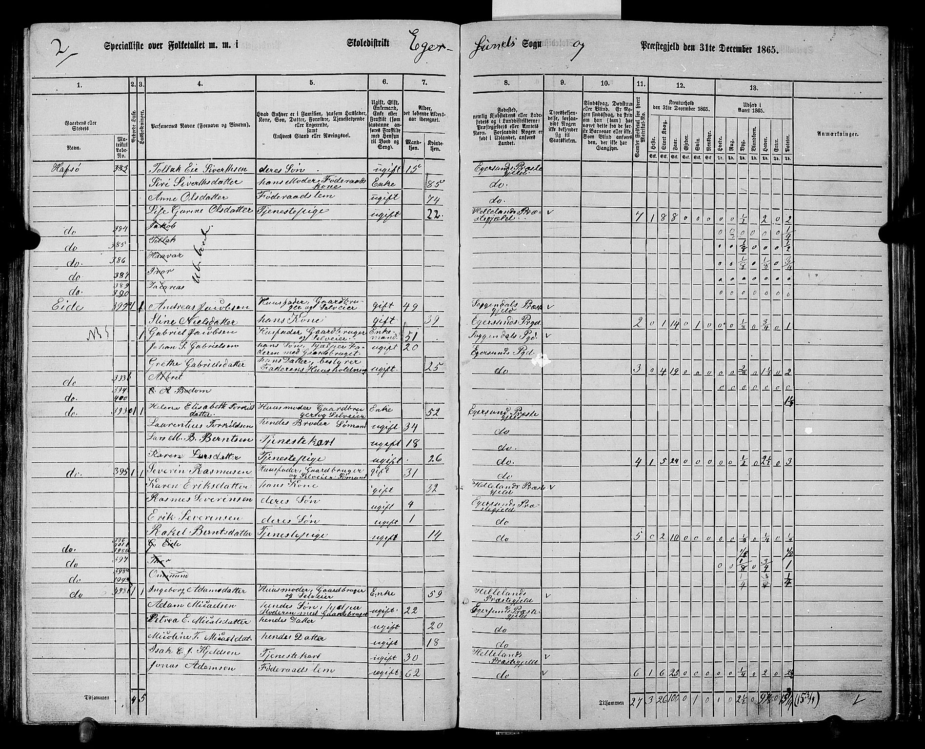 RA, 1865 census for Eigersund/Eigersund og Ogna, 1865, p. 104