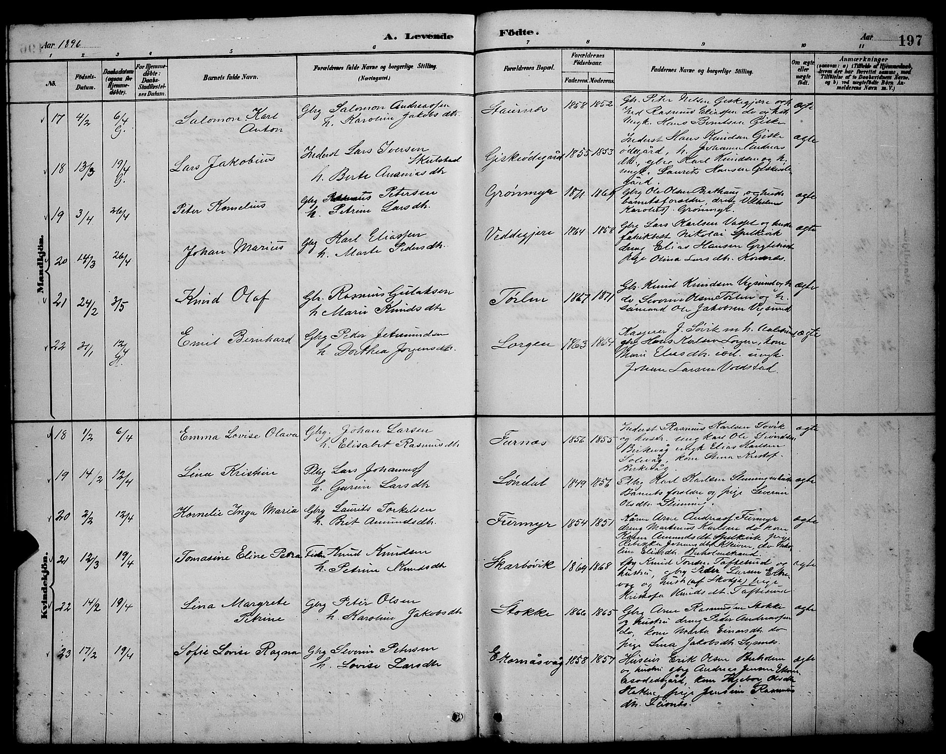 Ministerialprotokoller, klokkerbøker og fødselsregistre - Møre og Romsdal, SAT/A-1454/528/L0431: Parish register (copy) no. 528C12, 1885-1898, p. 197