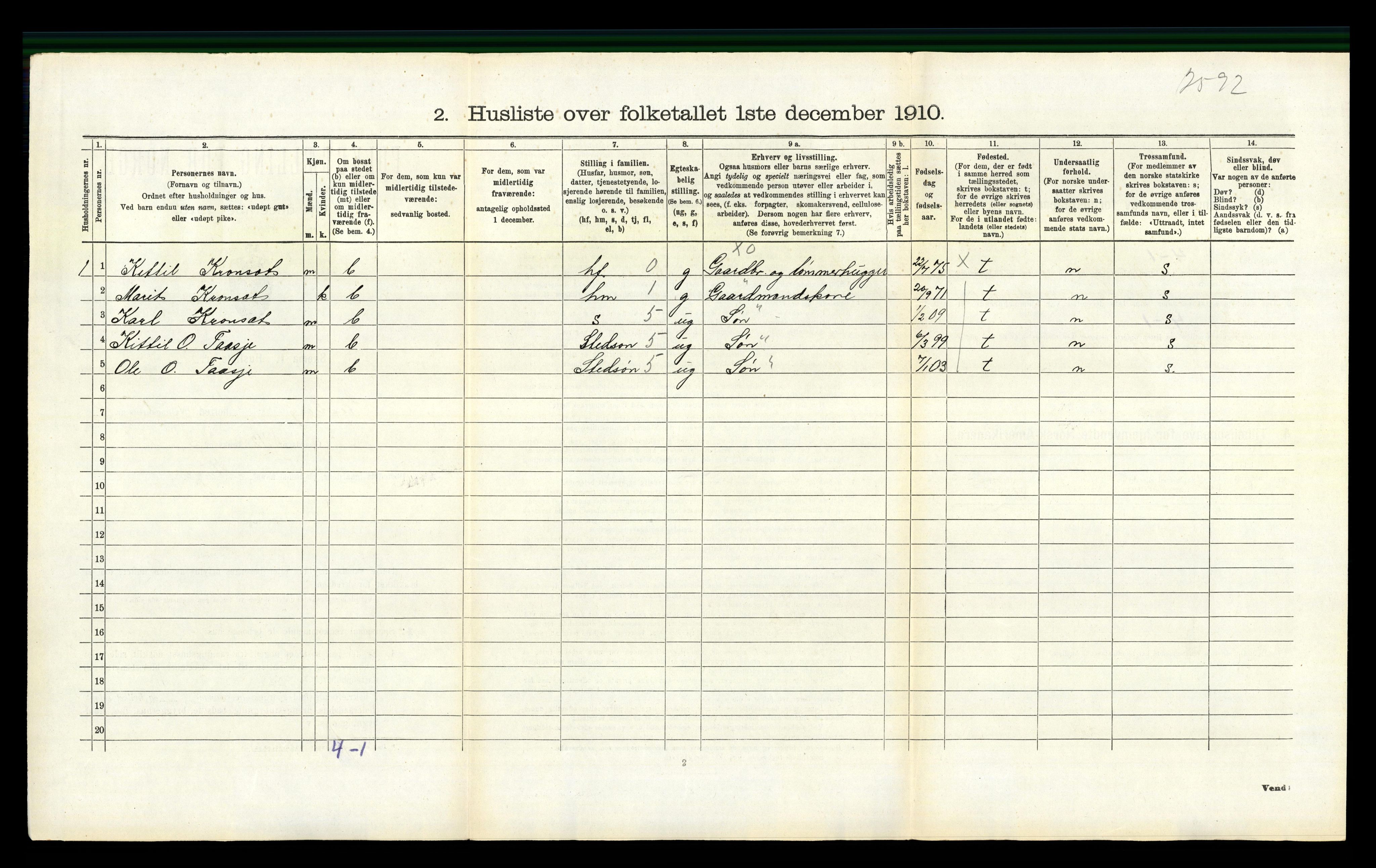 RA, 1910 census for Flesberg, 1910, p. 218