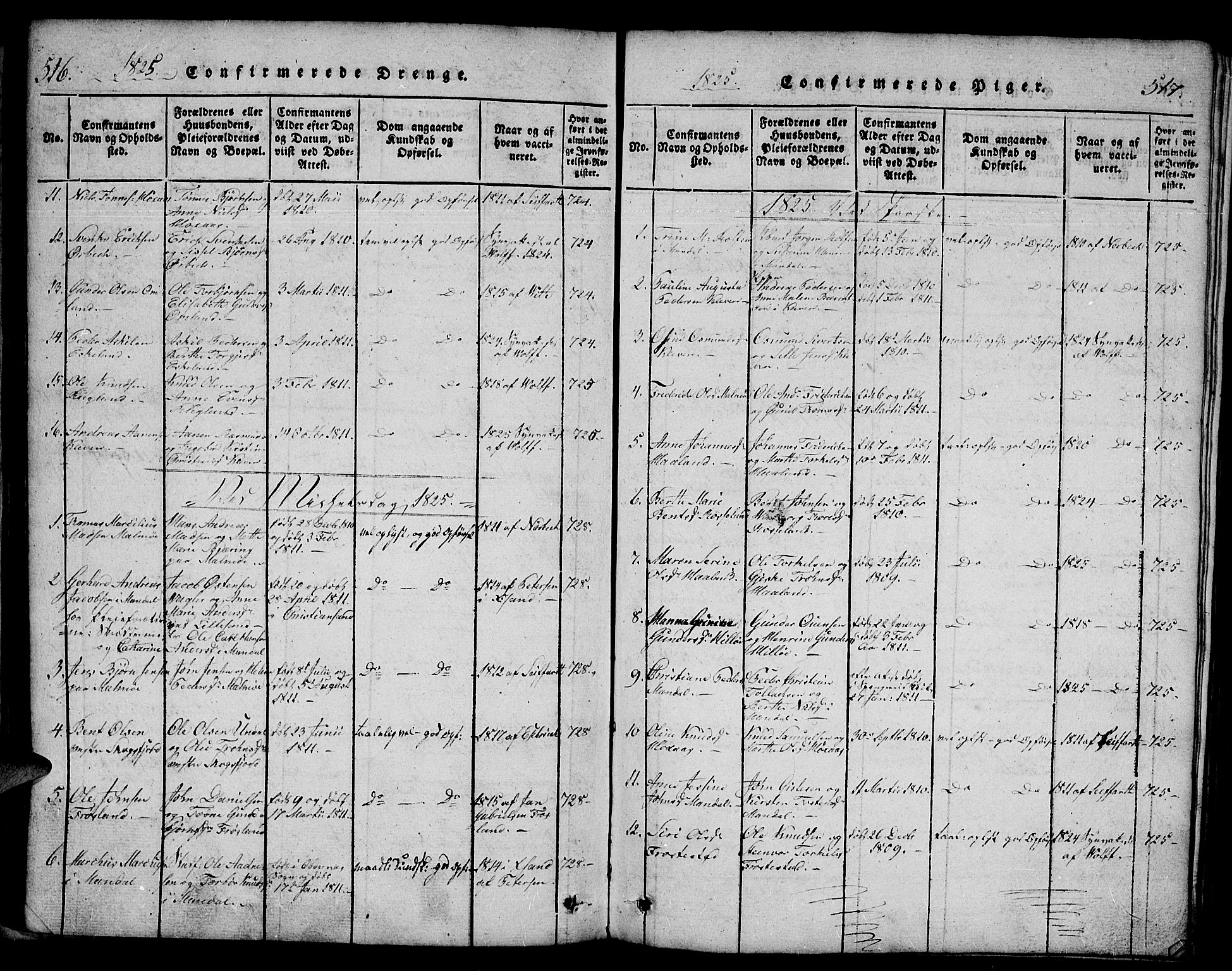 Mandal sokneprestkontor, SAK/1111-0030/F/Fb/Fba/L0001: Parish register (copy) no. B 1, 1818-1830, p. 516-517