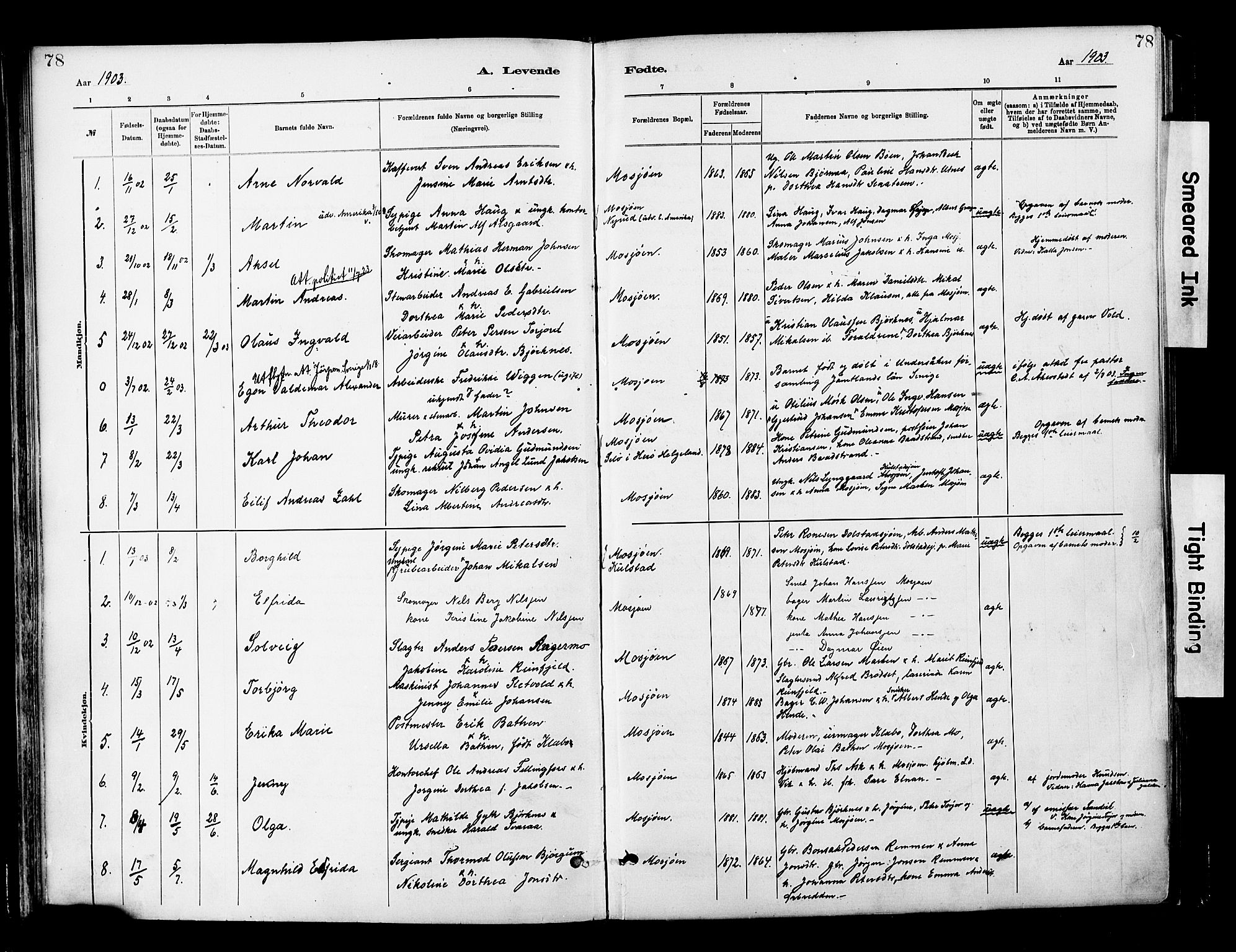 Ministerialprotokoller, klokkerbøker og fødselsregistre - Nordland, AV/SAT-A-1459/820/L0296: Parish register (official) no. 820A17, 1880-1903, p. 78