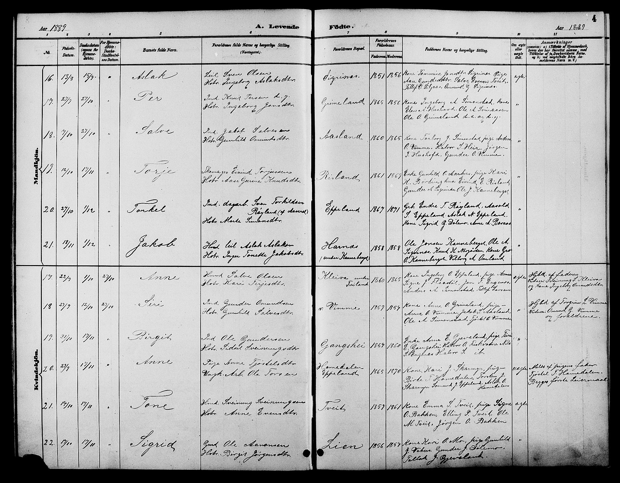 Åmli sokneprestkontor, AV/SAK-1111-0050/F/Fb/Fbc/L0004: Parish register (copy) no. B 4, 1889-1902, p. 4