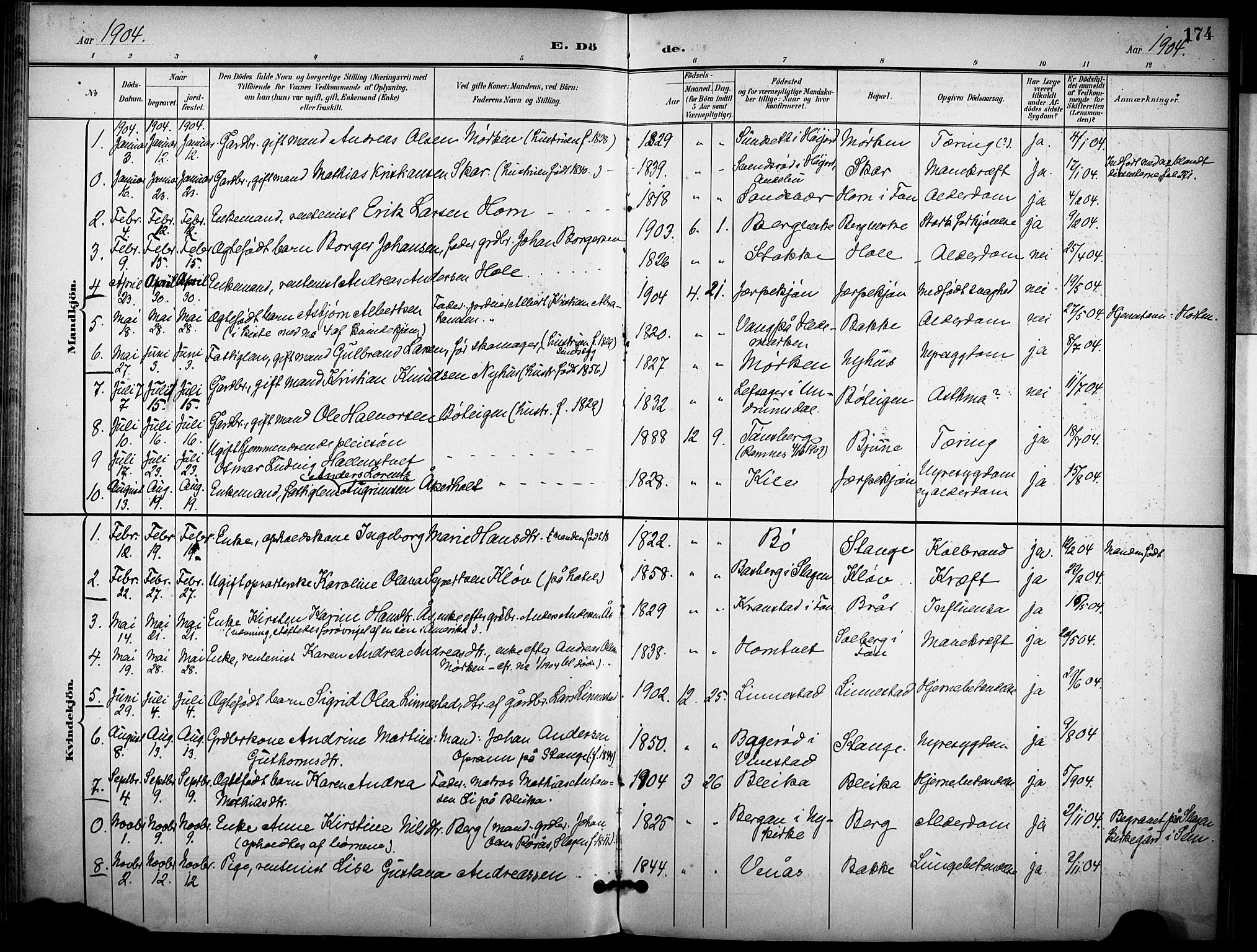 Ramnes kirkebøker, AV/SAKO-A-314/F/Fa/L0008: Parish register (official) no. I 8, 1896-1913, p. 174