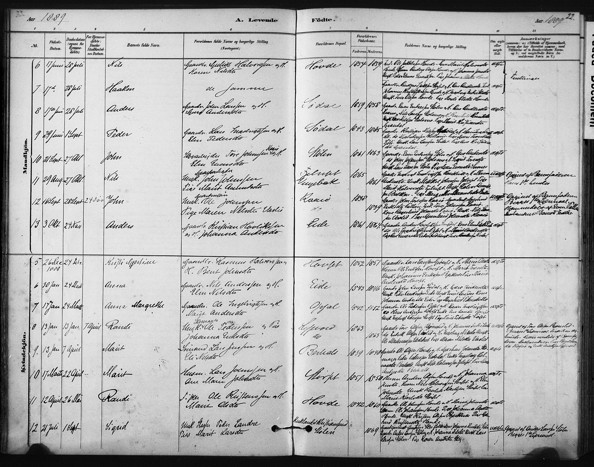 Ministerialprotokoller, klokkerbøker og fødselsregistre - Sør-Trøndelag, AV/SAT-A-1456/631/L0512: Parish register (official) no. 631A01, 1879-1912, p. 22