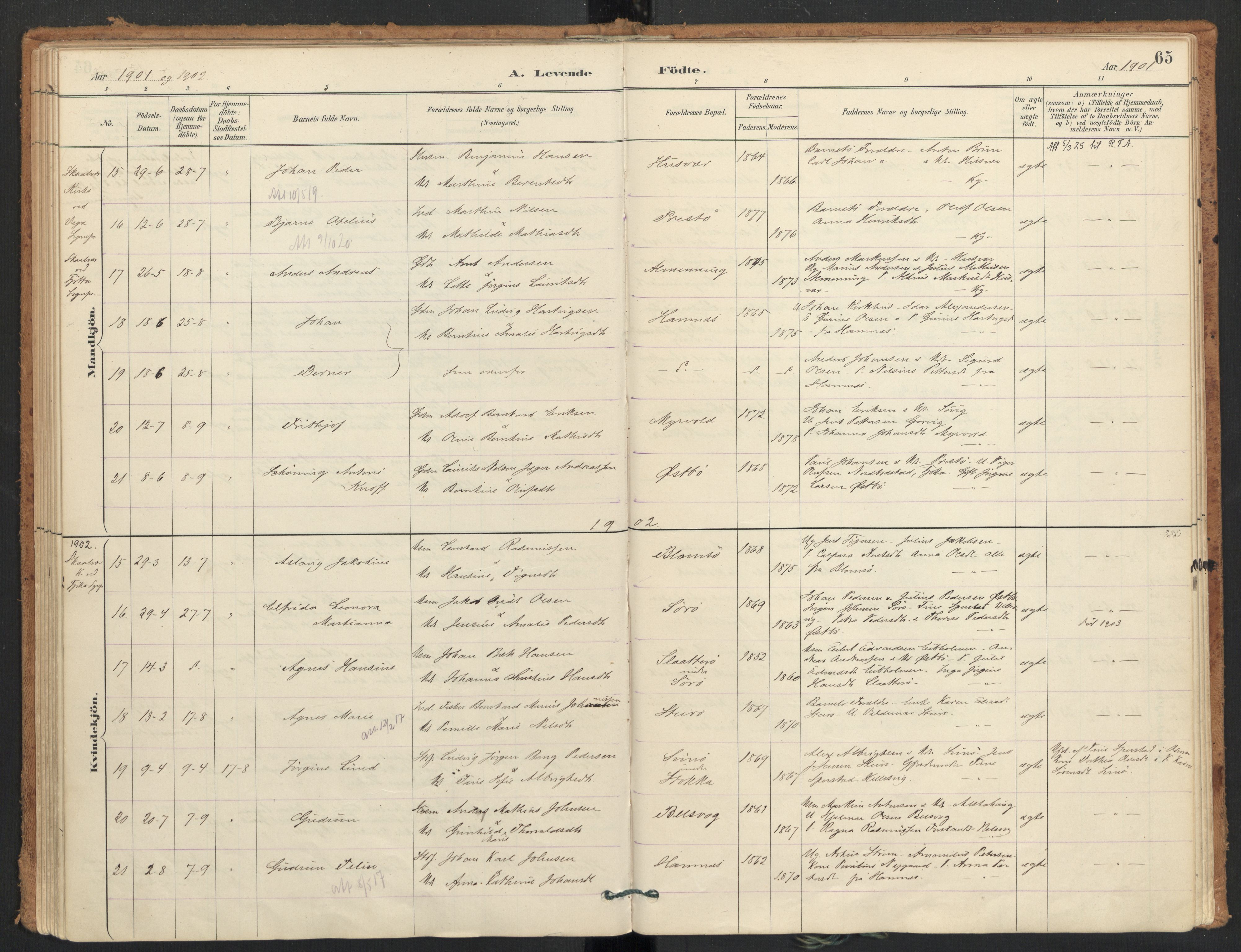 Ministerialprotokoller, klokkerbøker og fødselsregistre - Nordland, SAT/A-1459/830/L0453: Parish register (official) no. 830A17, 1886-1911, p. 65