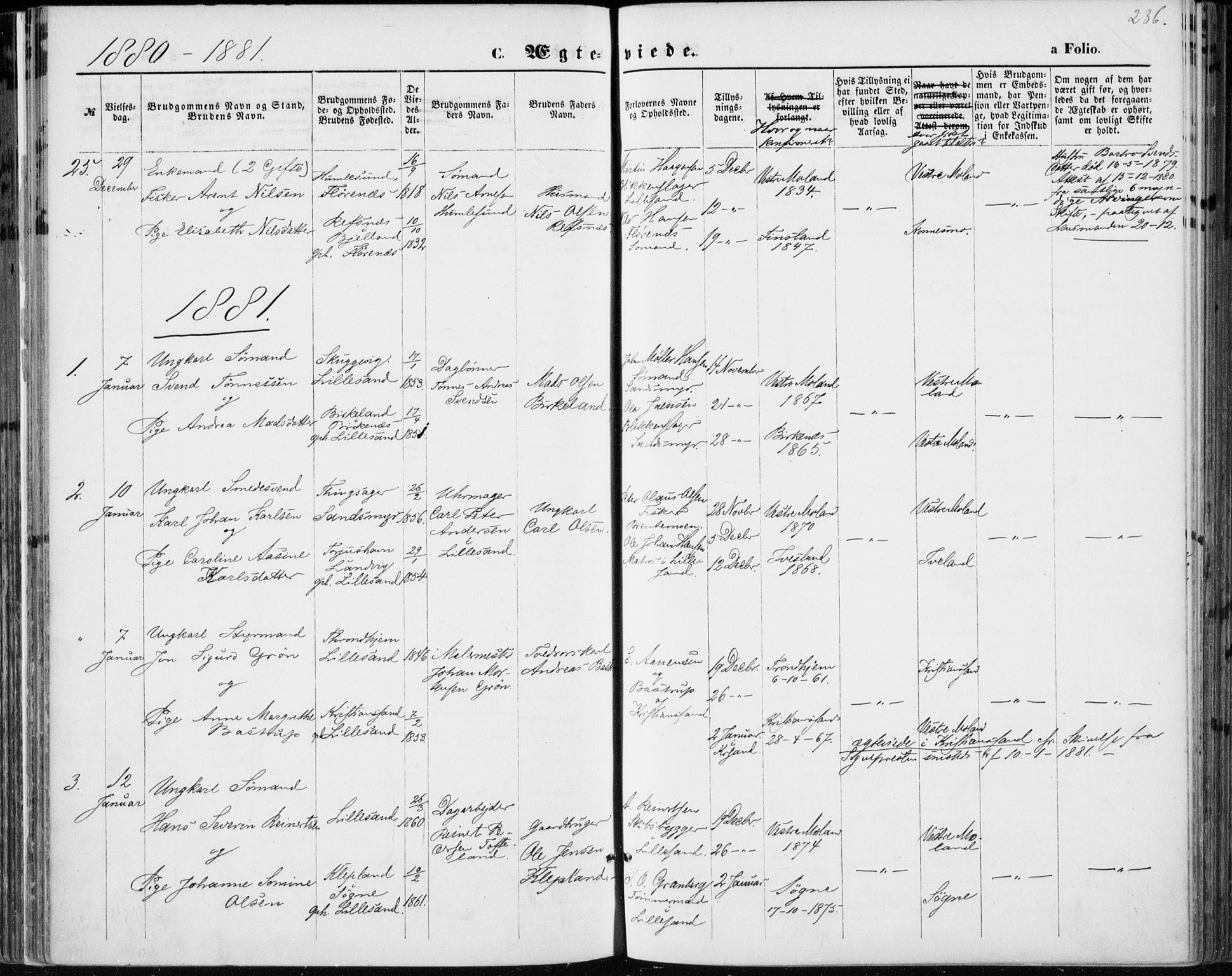 Vestre Moland sokneprestkontor, SAK/1111-0046/F/Fa/Fab/L0008: Parish register (official) no. A 8, 1873-1883, p. 236