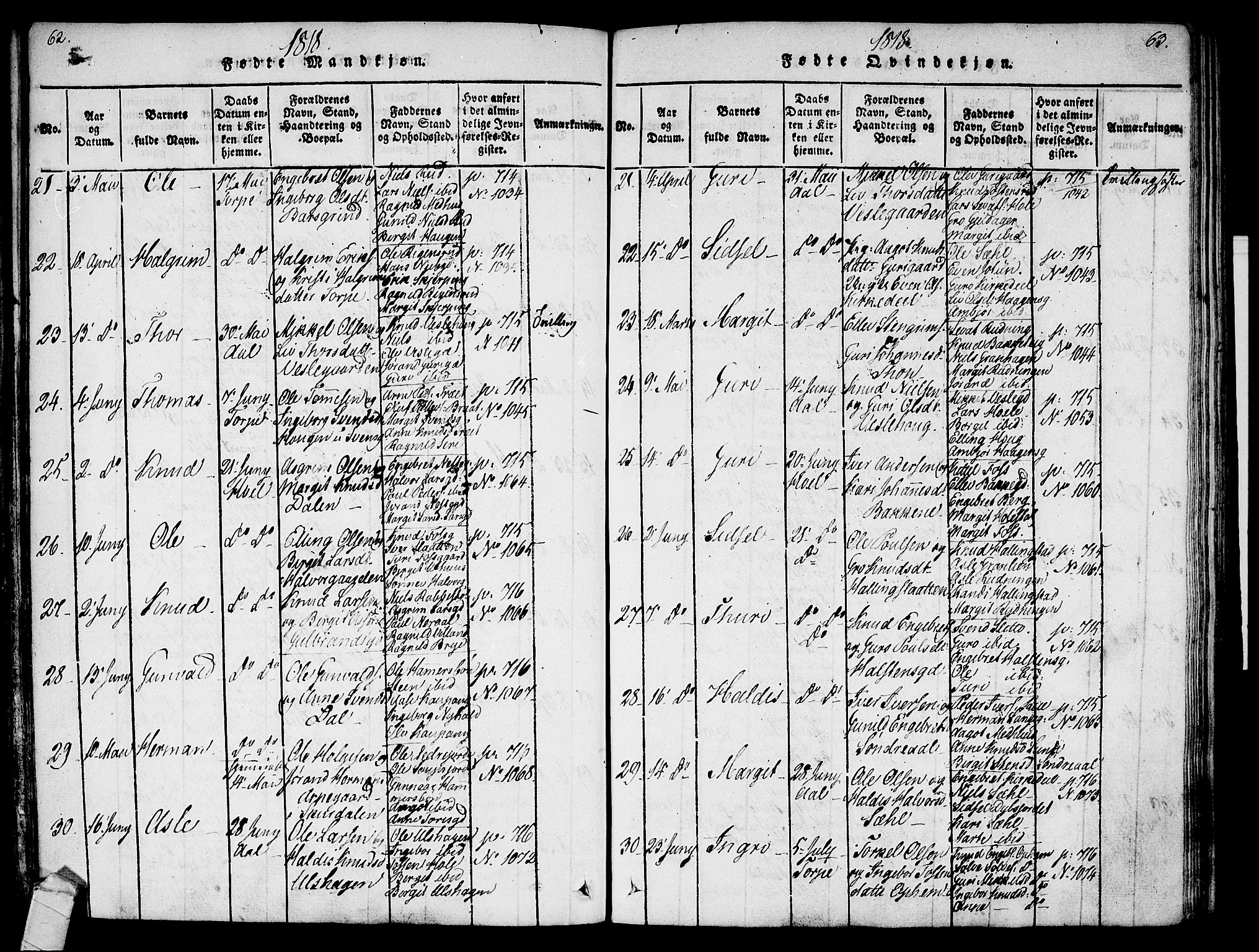 Ål kirkebøker, AV/SAKO-A-249/F/Fa/L0004: Parish register (official) no. I 4, 1815-1825, p. 64-65