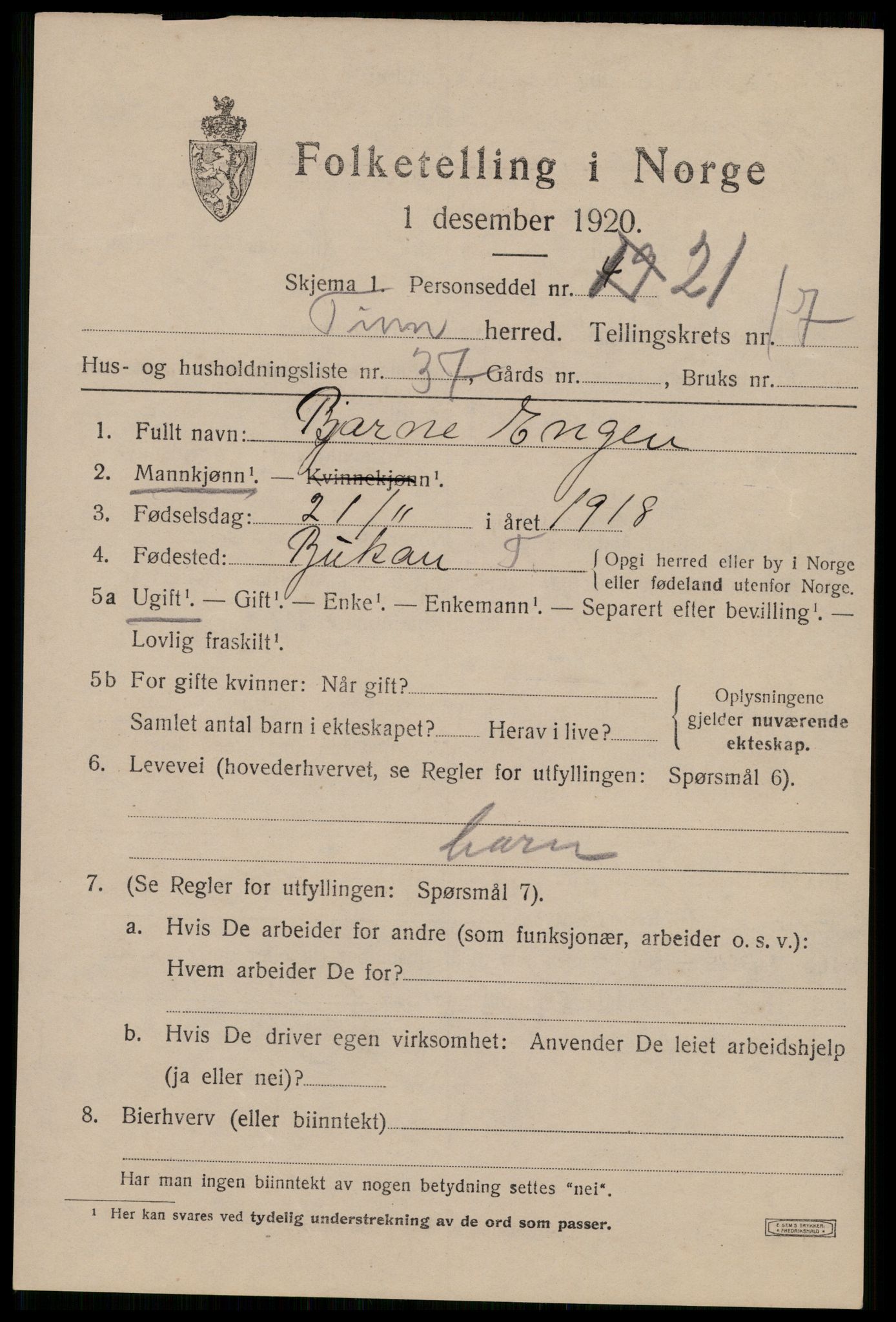 SAKO, 1920 census for Tinn, 1920, p. 19396