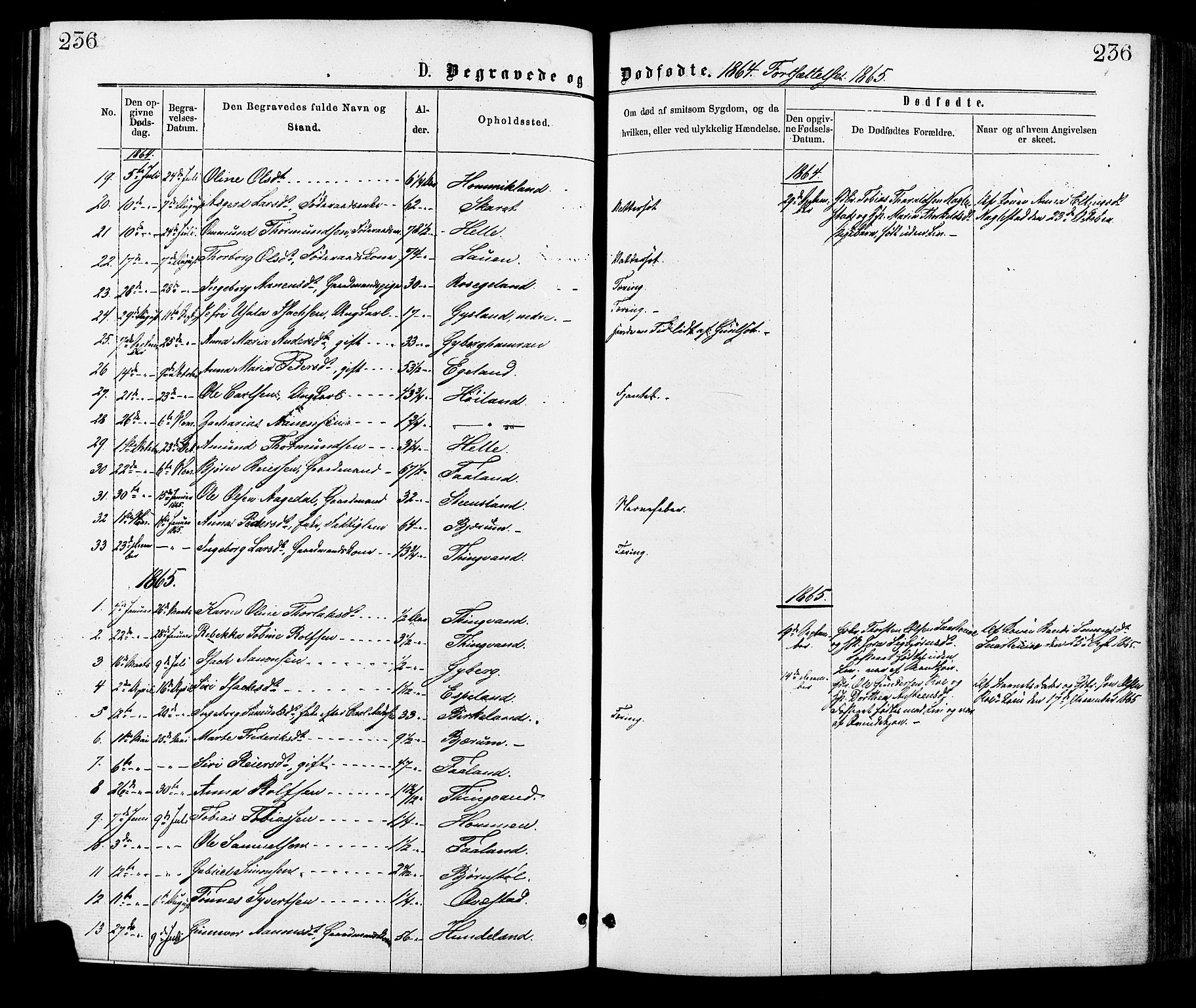 Hægebostad sokneprestkontor, SAK/1111-0024/F/Fa/Faa/L0005: Parish register (official) no. A 5, 1864-1886, p. 236