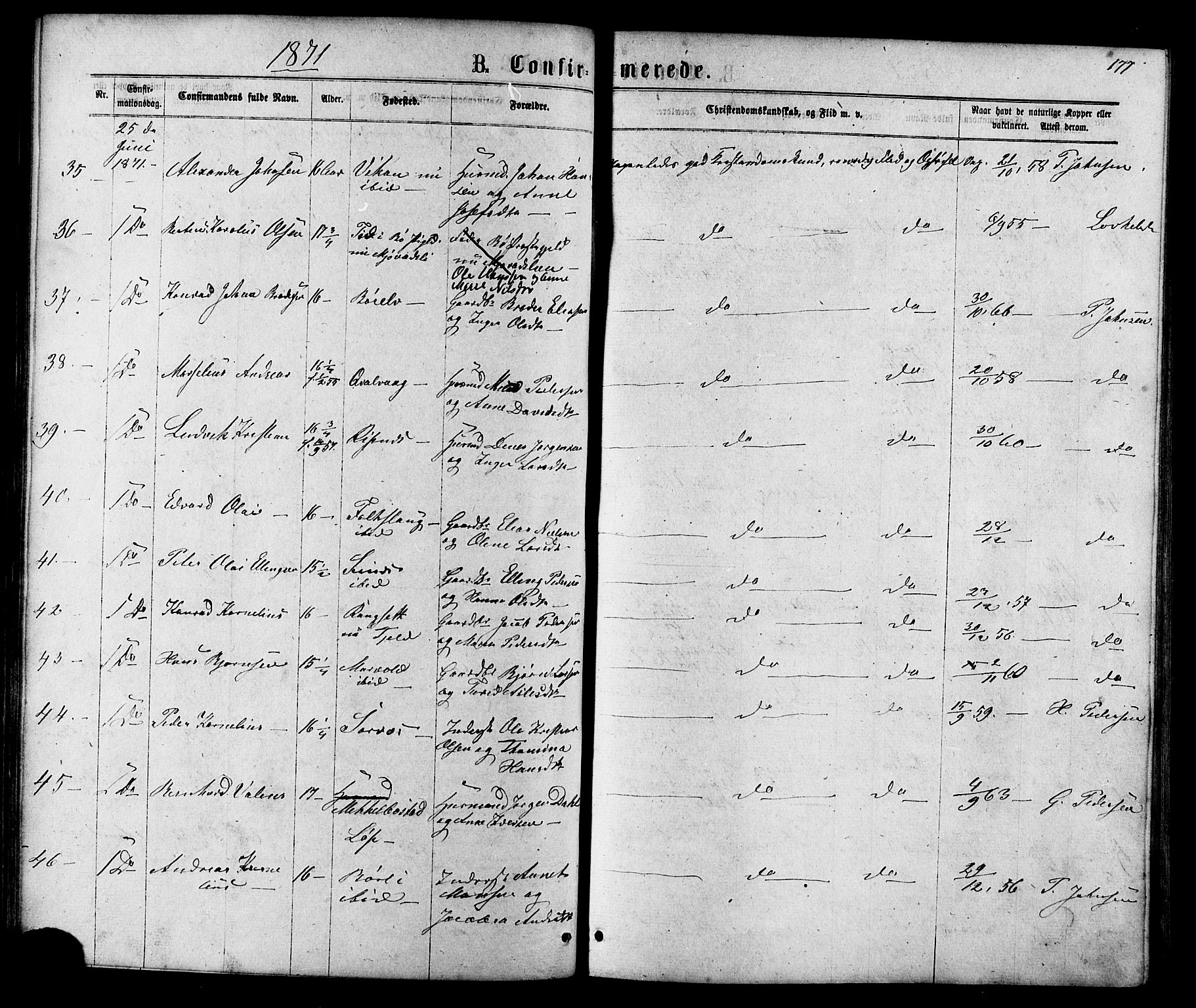 Ministerialprotokoller, klokkerbøker og fødselsregistre - Nordland, AV/SAT-A-1459/801/L0029: Parish register (copy) no. 801C04, 1868-1878, p. 177