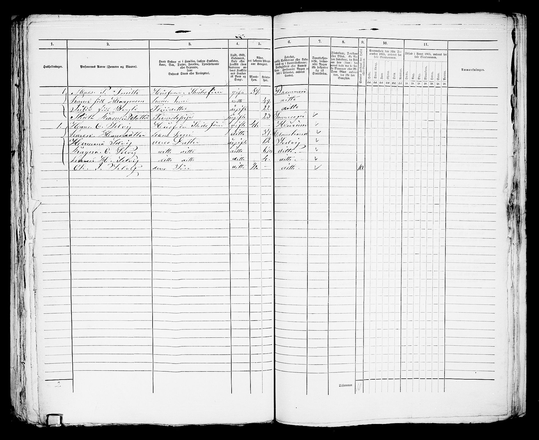 RA, 1865 census for Strømsø in Drammen, 1865, p. 991