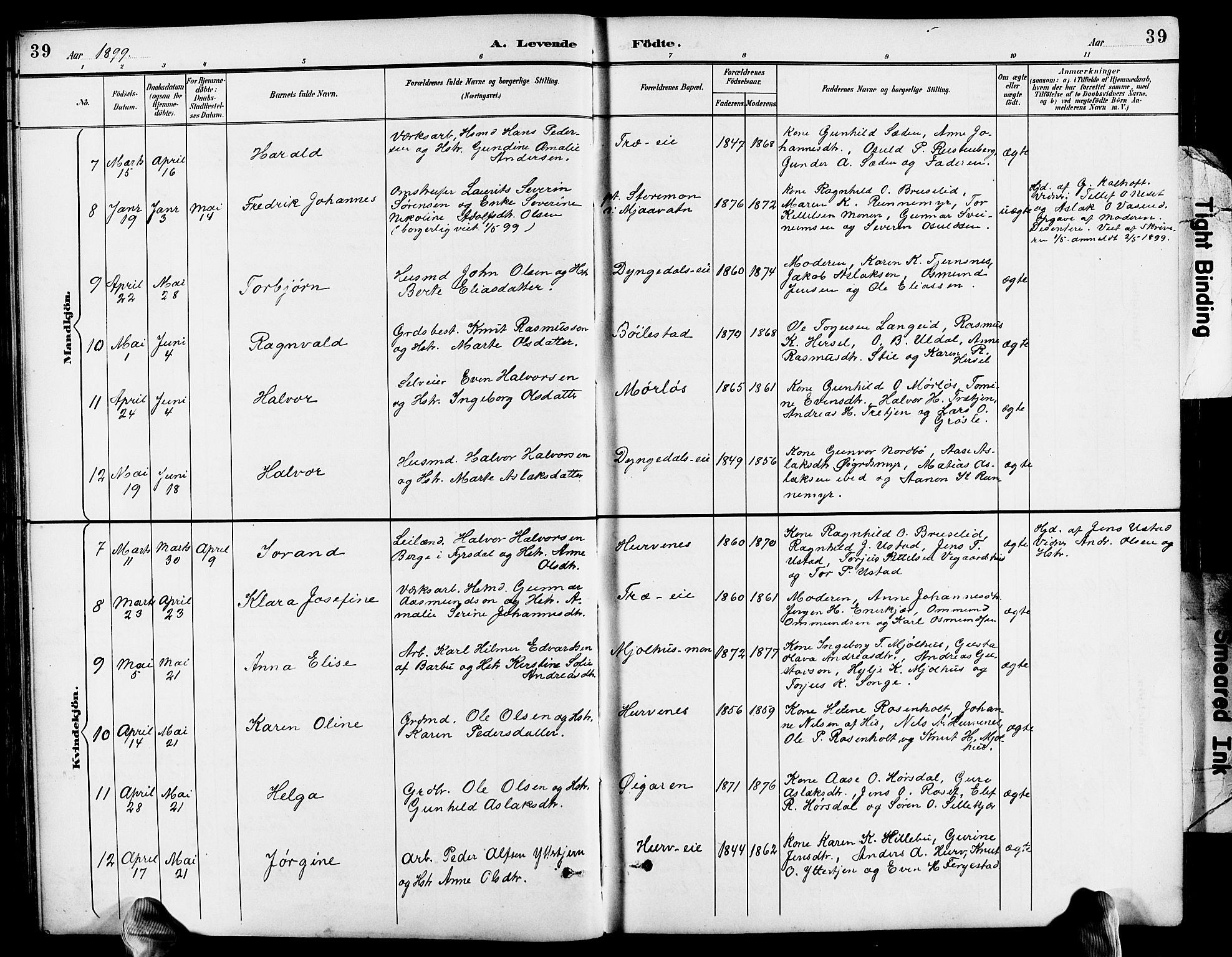 Froland sokneprestkontor, SAK/1111-0013/F/Fb/L0010: Parish register (copy) no. B 10, 1893-1920, p. 39