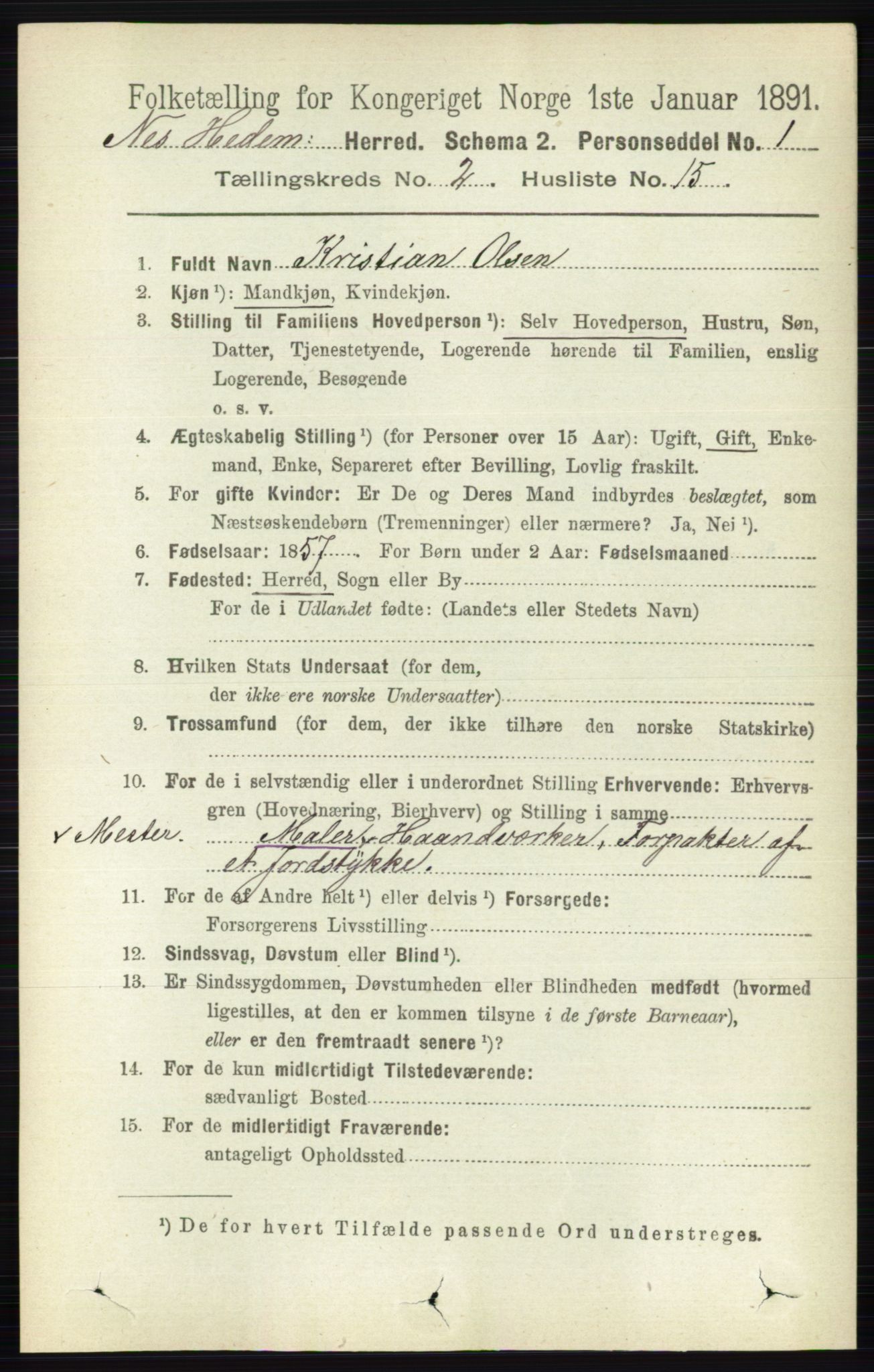 RA, 1891 census for 0411 Nes, 1891, p. 1160