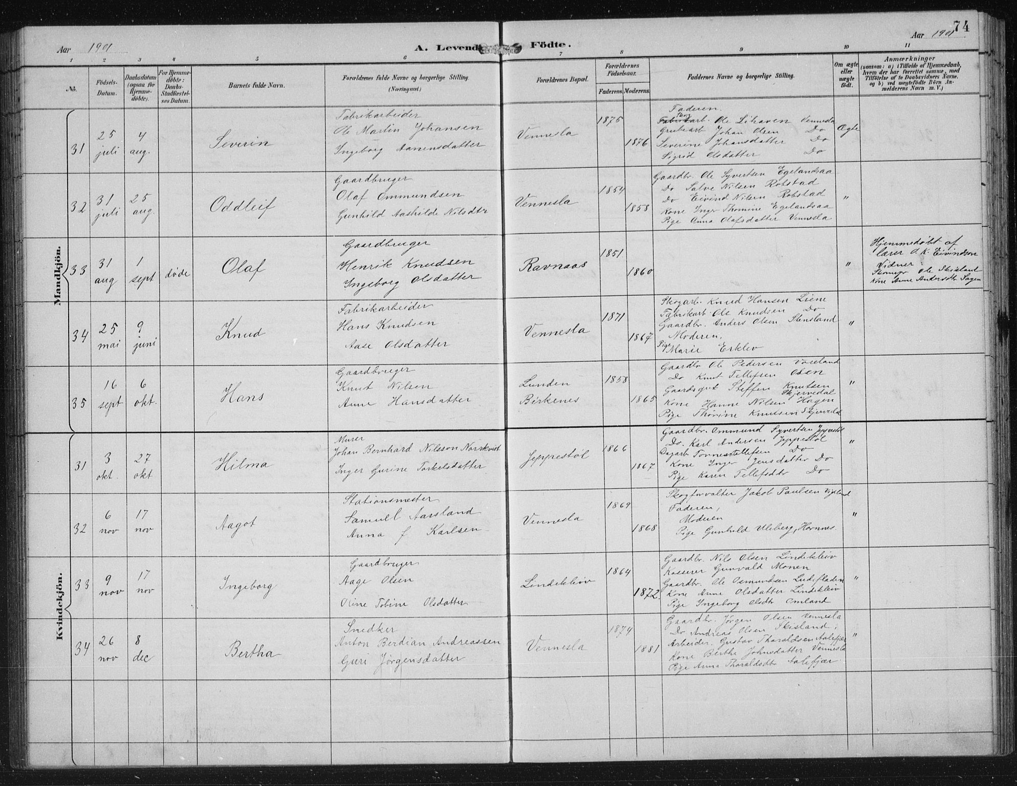 Vennesla sokneprestkontor, AV/SAK-1111-0045/Fb/Fbb/L0004: Parish register (copy) no. B 4, 1893-1902, p. 74